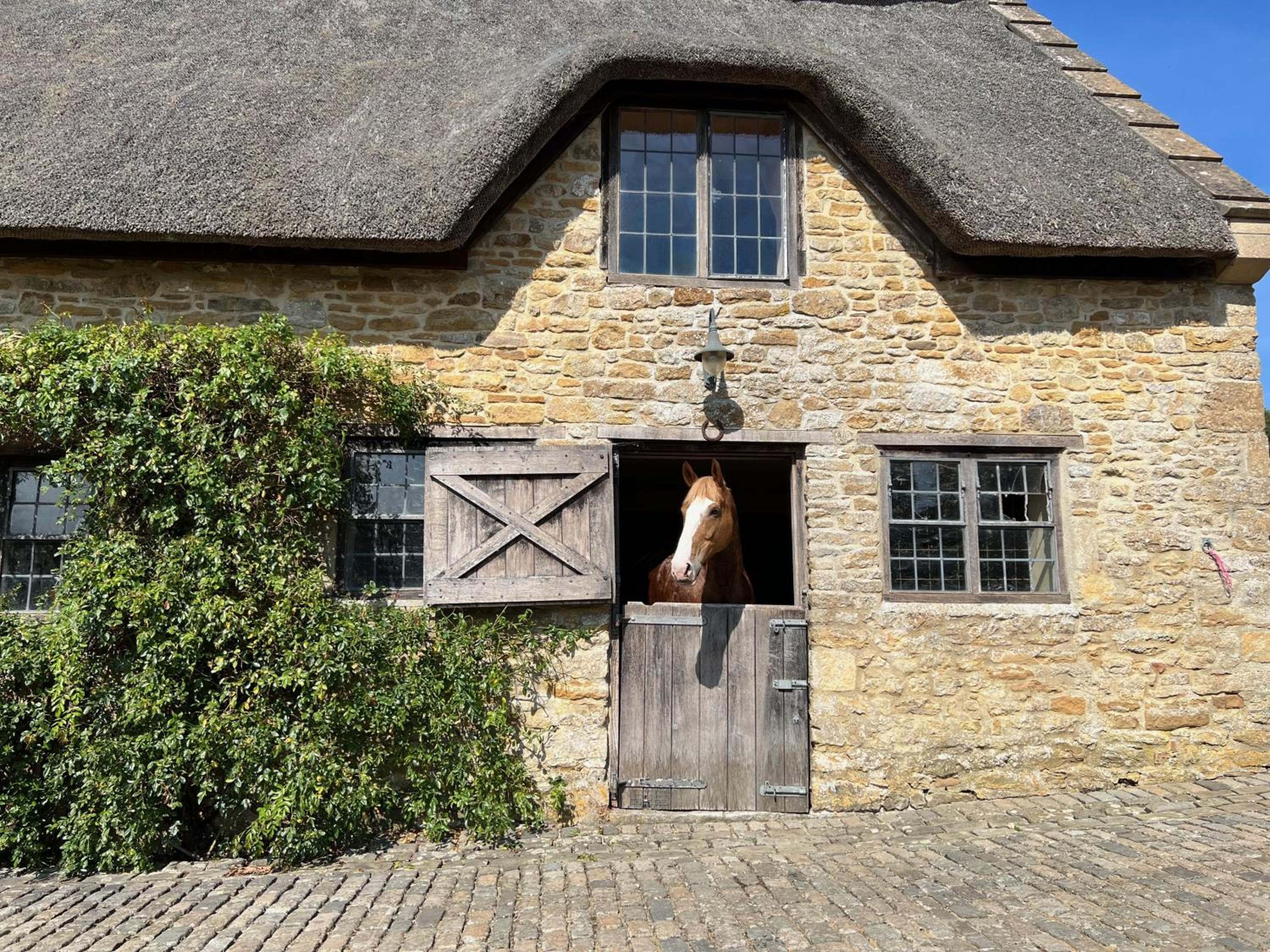 Jerards Stables