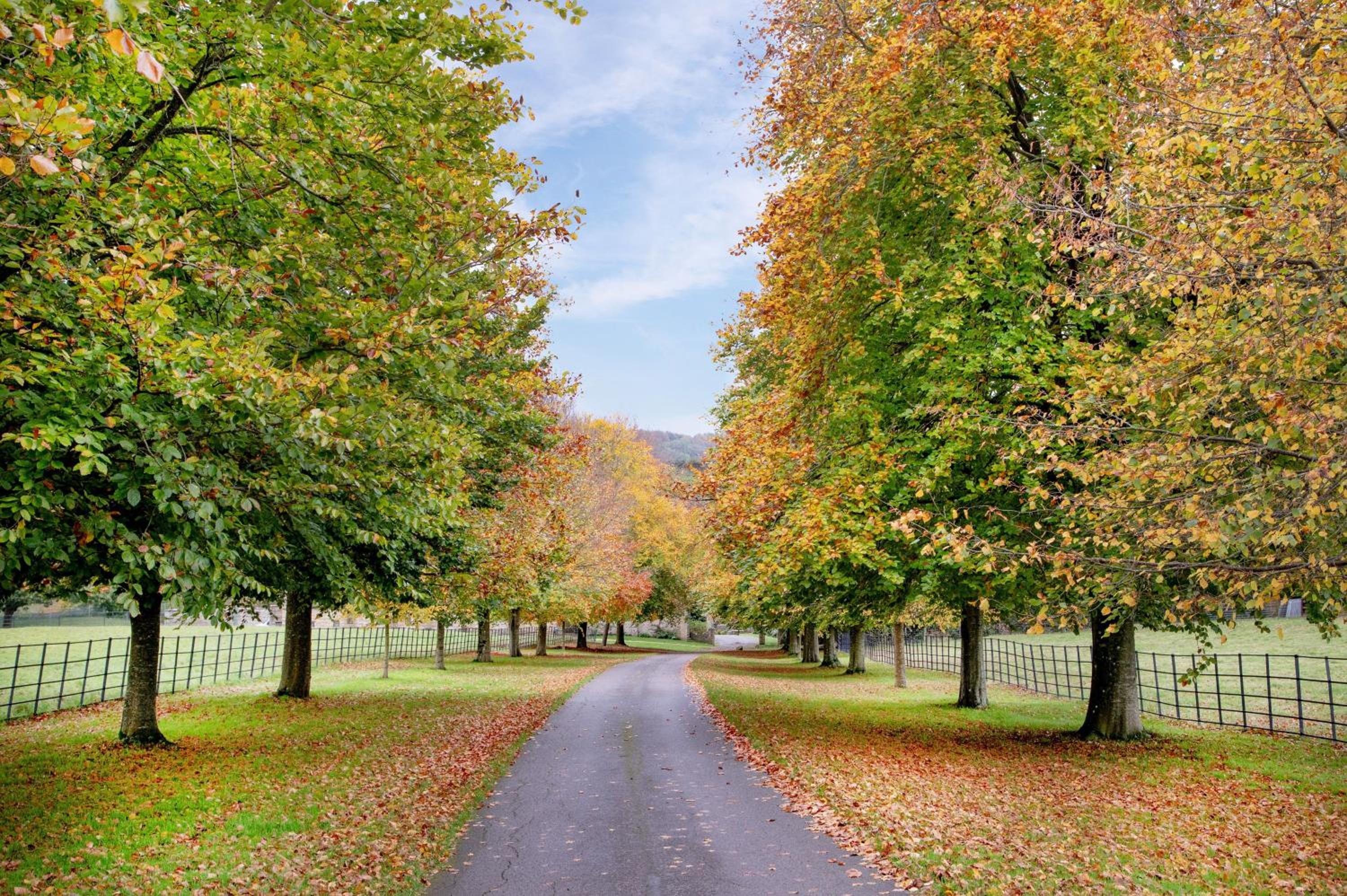 Jerards Stables