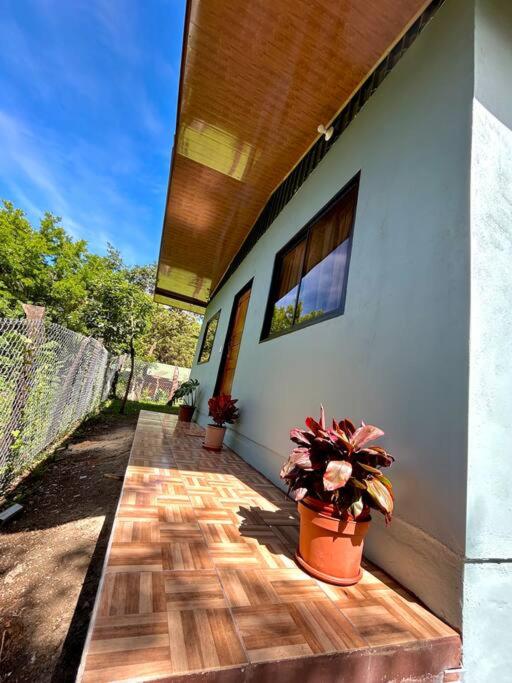 Cozyhousetangara