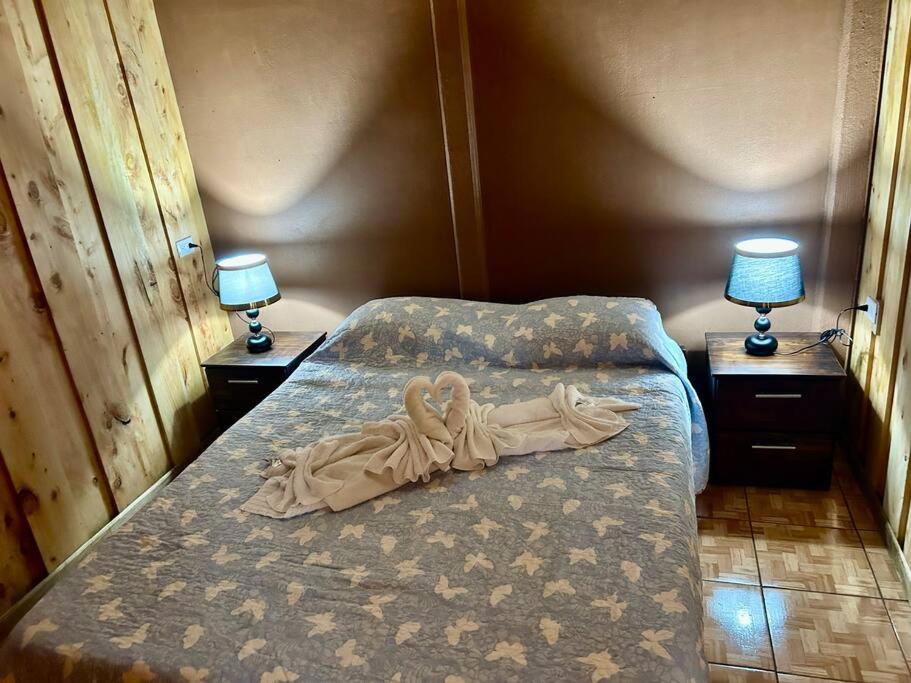 Cozyhousetangara