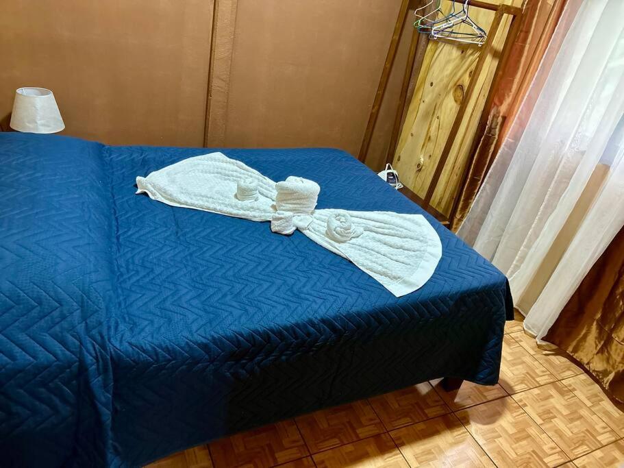 Cozyhousetangara