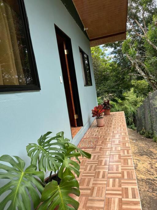 Cozyhousetangara