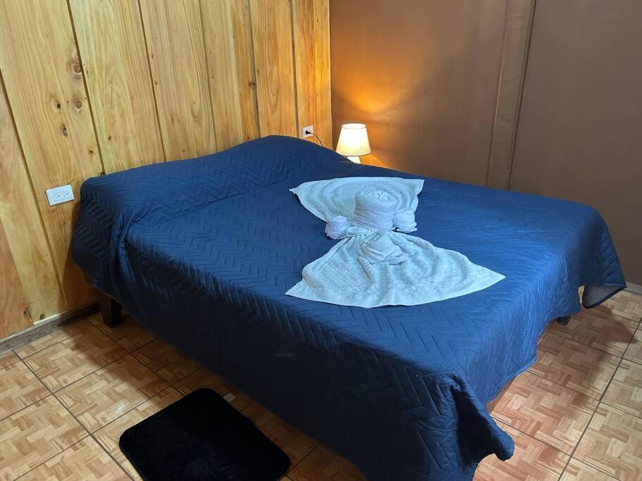 Cozyhousetangara