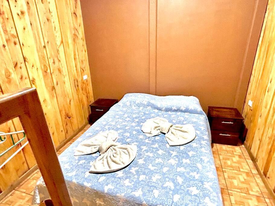 Cozyhousetangara