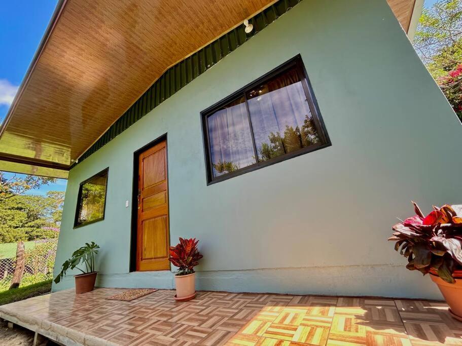Cozyhousetangara