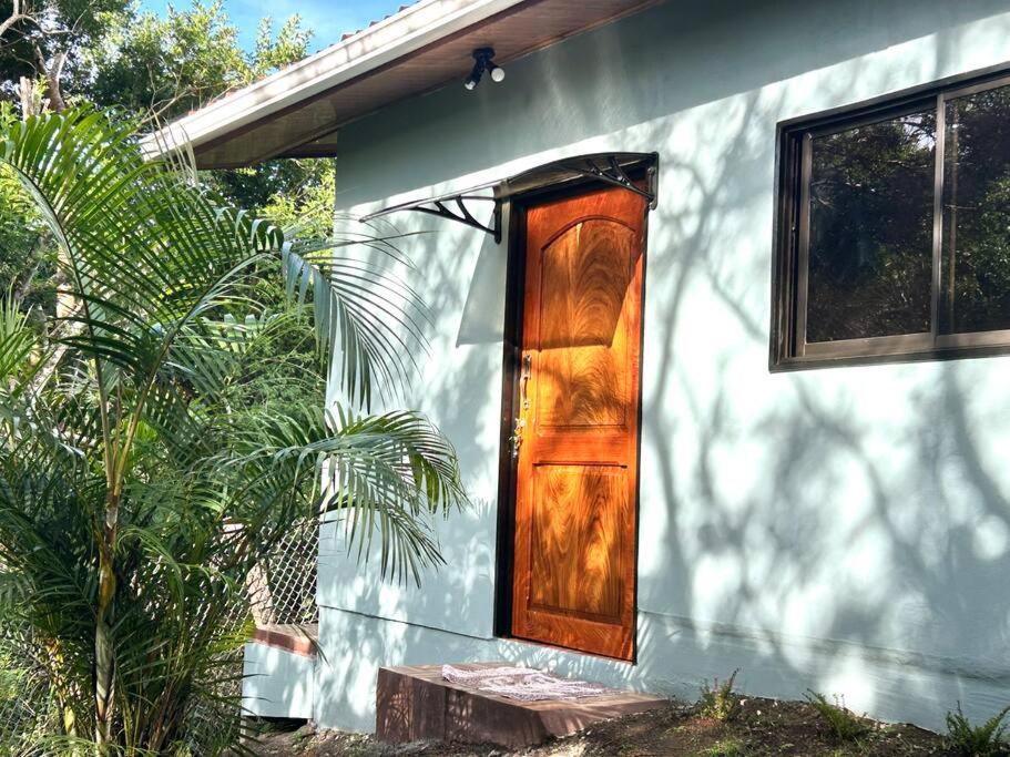 Cozyhousetangara