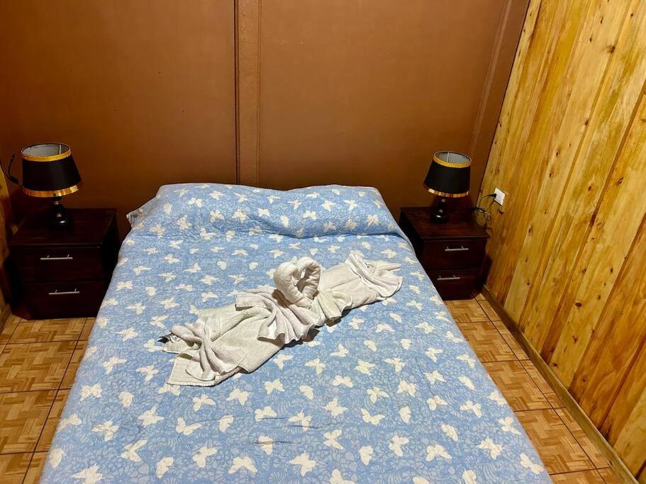 Cozyhousetangara