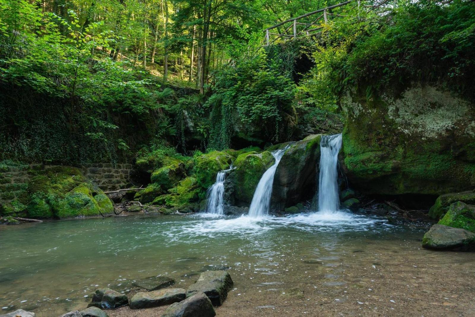 Resort Walsdorf