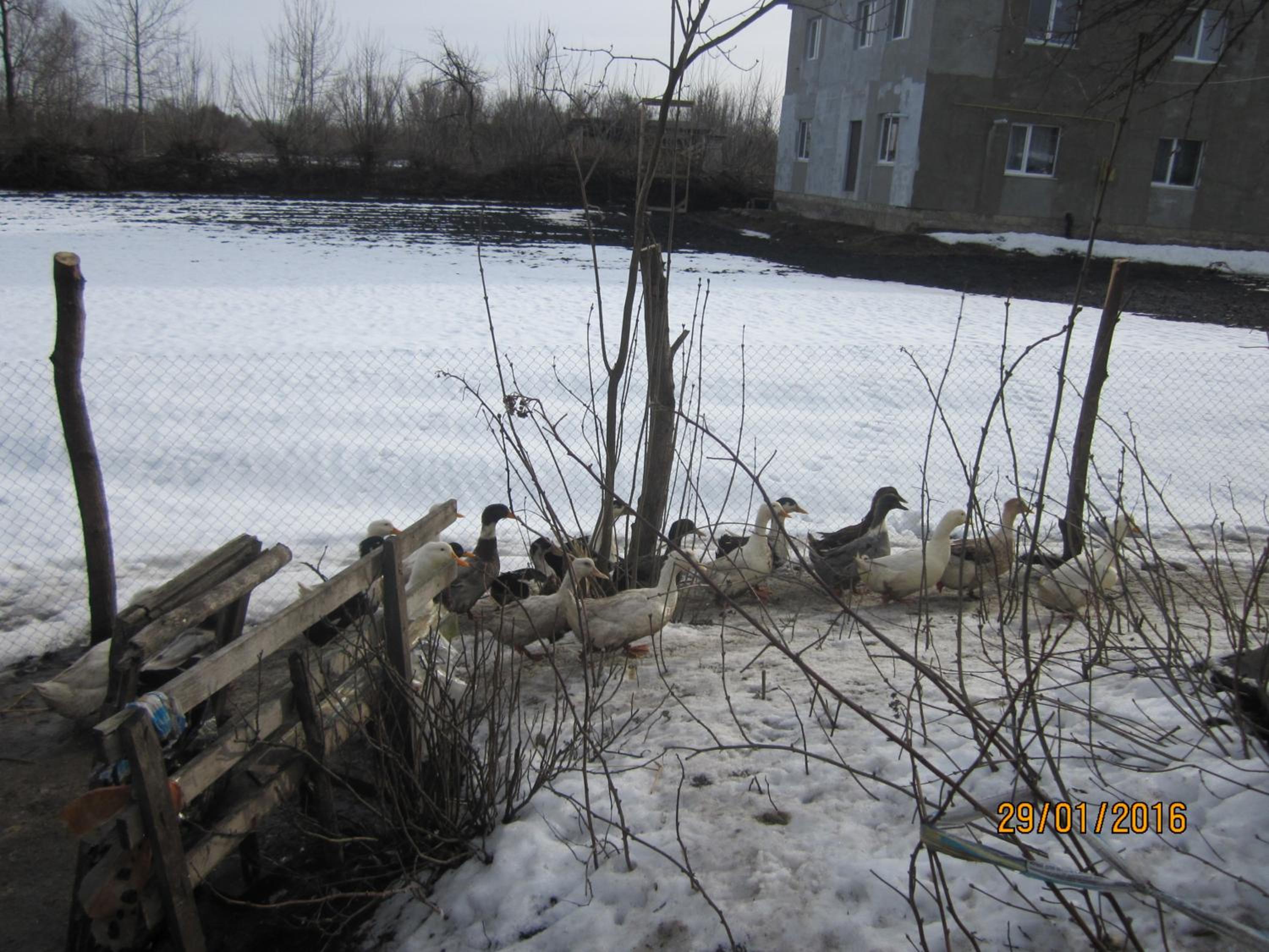Photo 37
