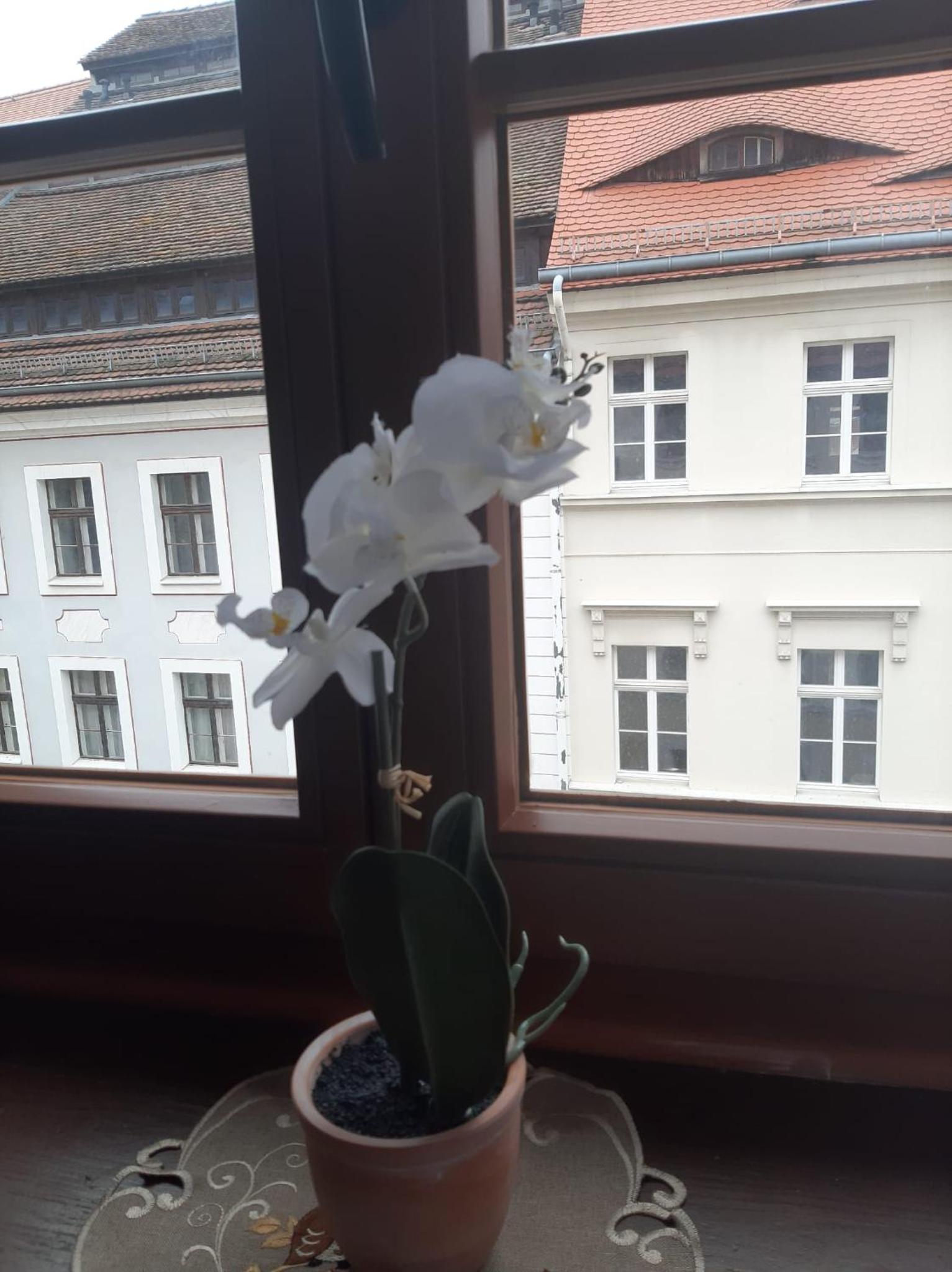 FW 50 - Mitten in der historischen Altstadt mit Balkon