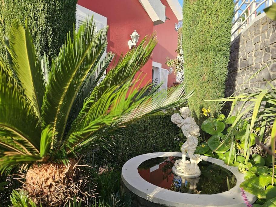 Photo 35