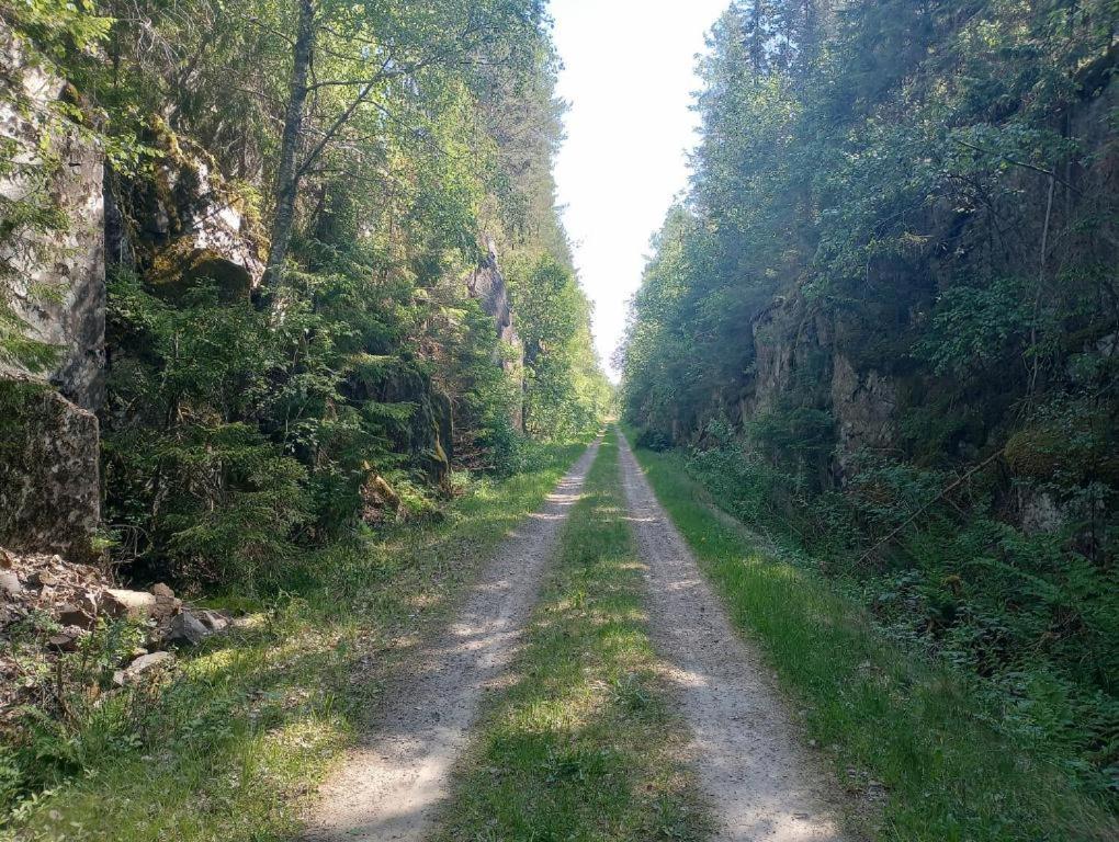 Photo 39