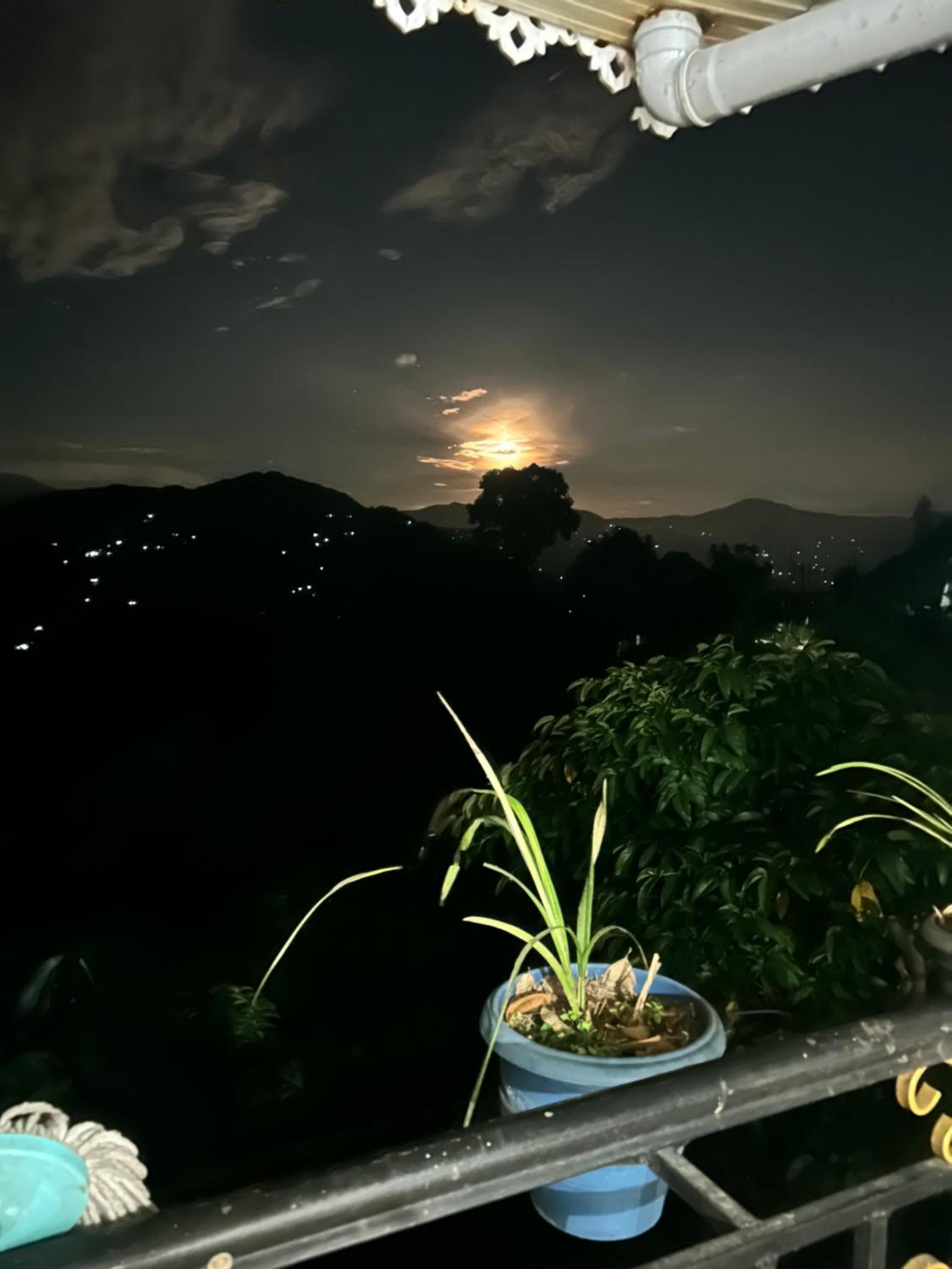 Positron homestay