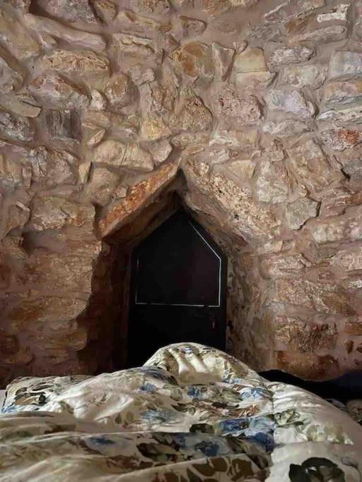 Antica Pajara Salentina Il fico d'india