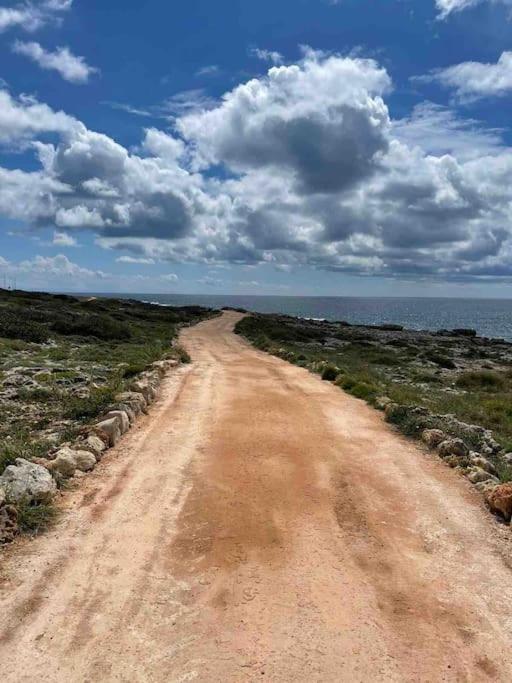 Antica Pajara Salentina Il fico d'india