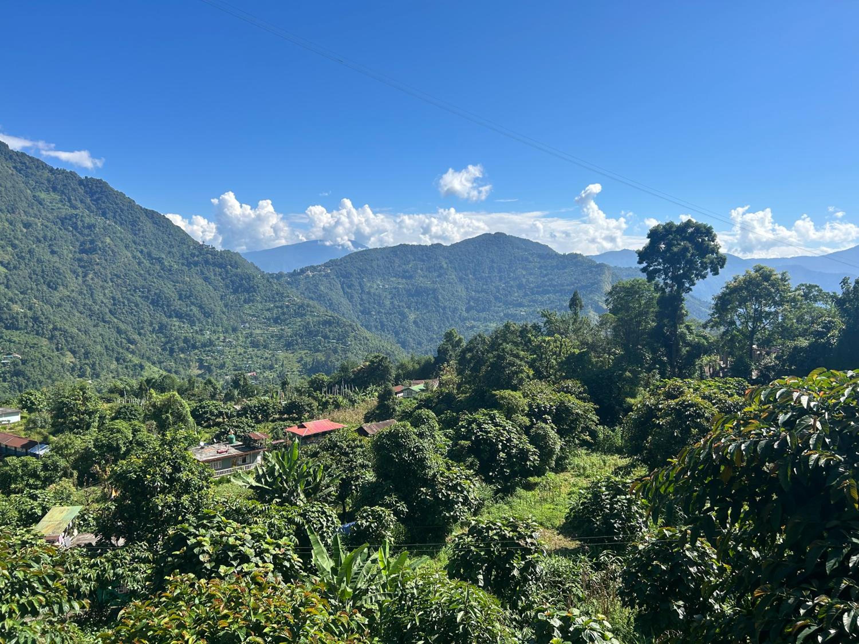 Positron homestay