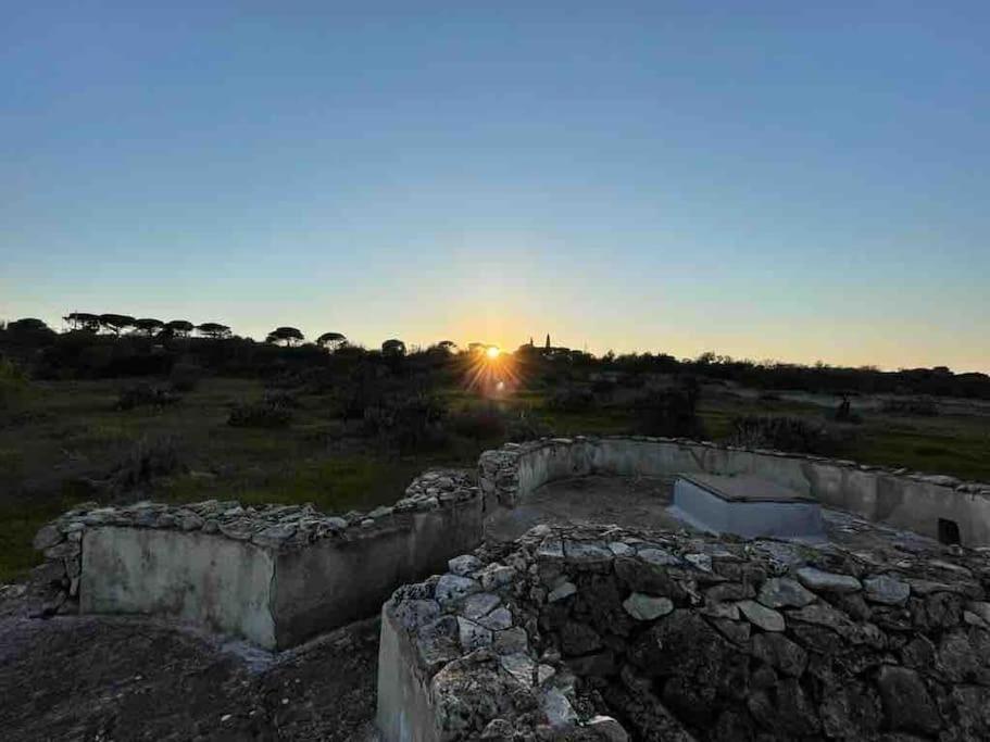 Antica Pajara Salentina Il fico d'india