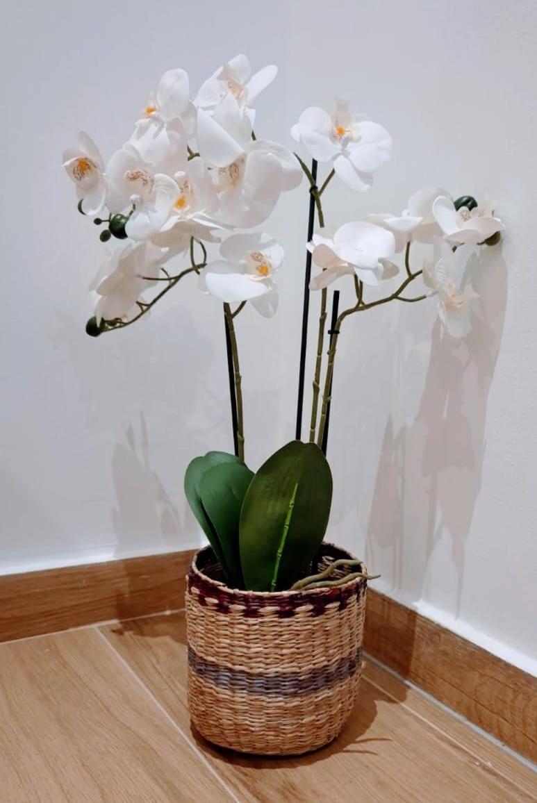 Hlil's Studio