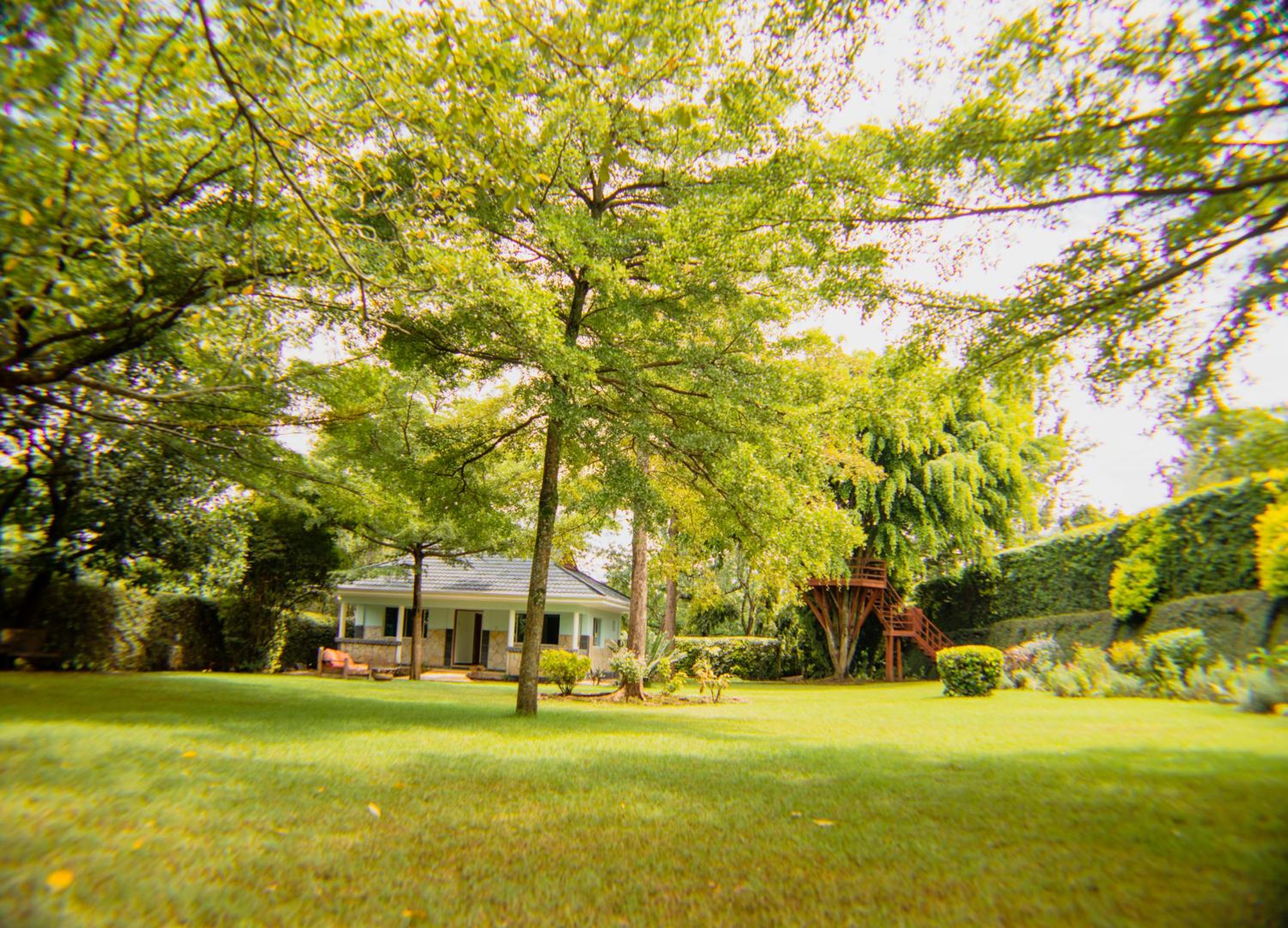 apartnment