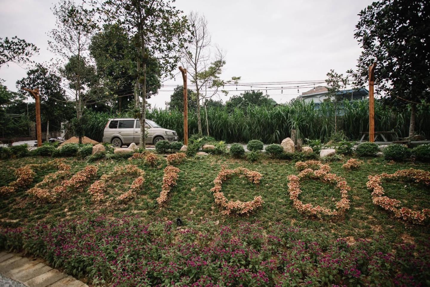 Photo 45