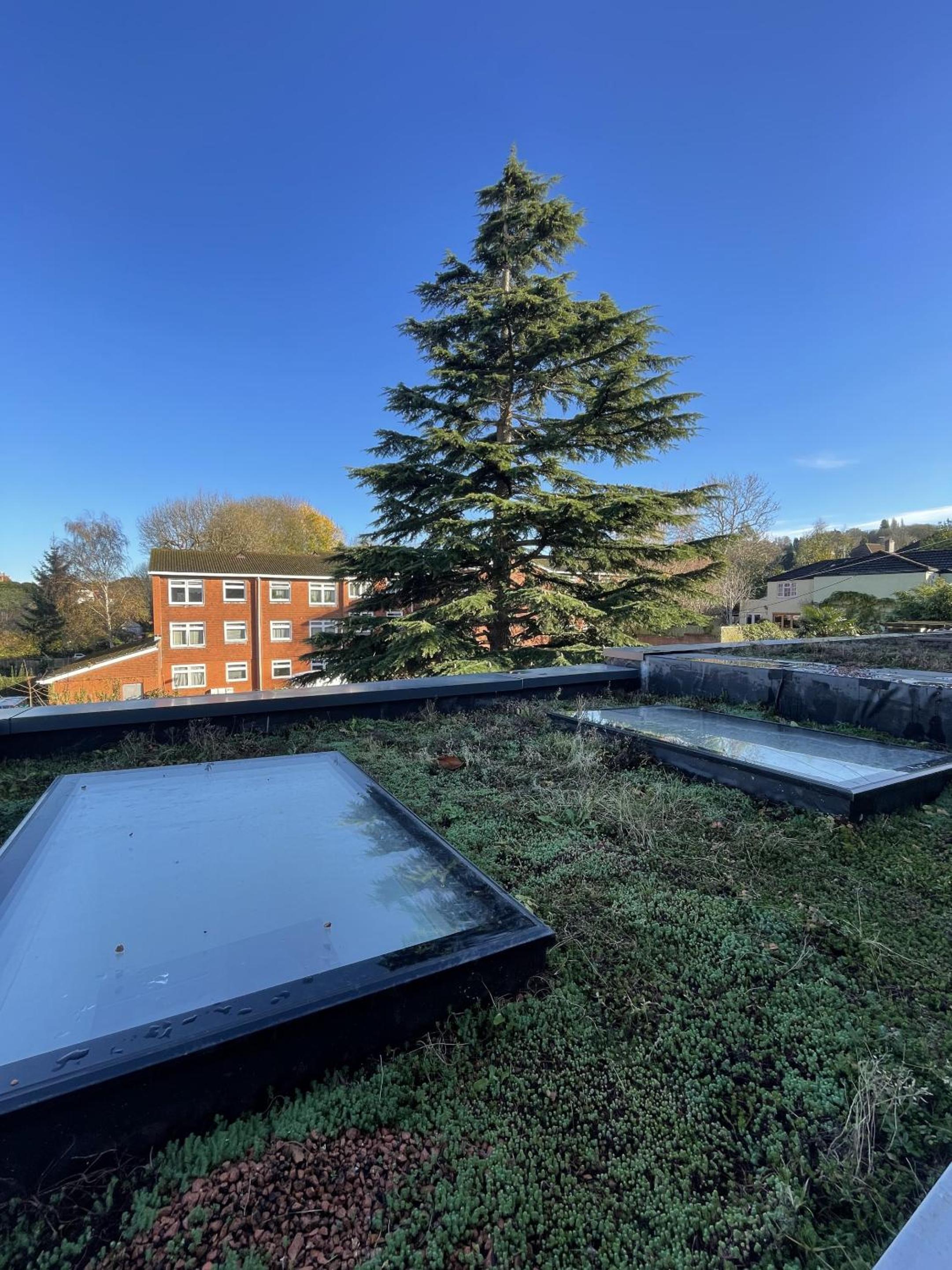 roof