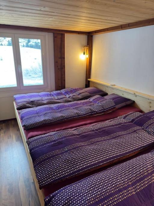 Heimelige Wohnung auf der Schwägalp