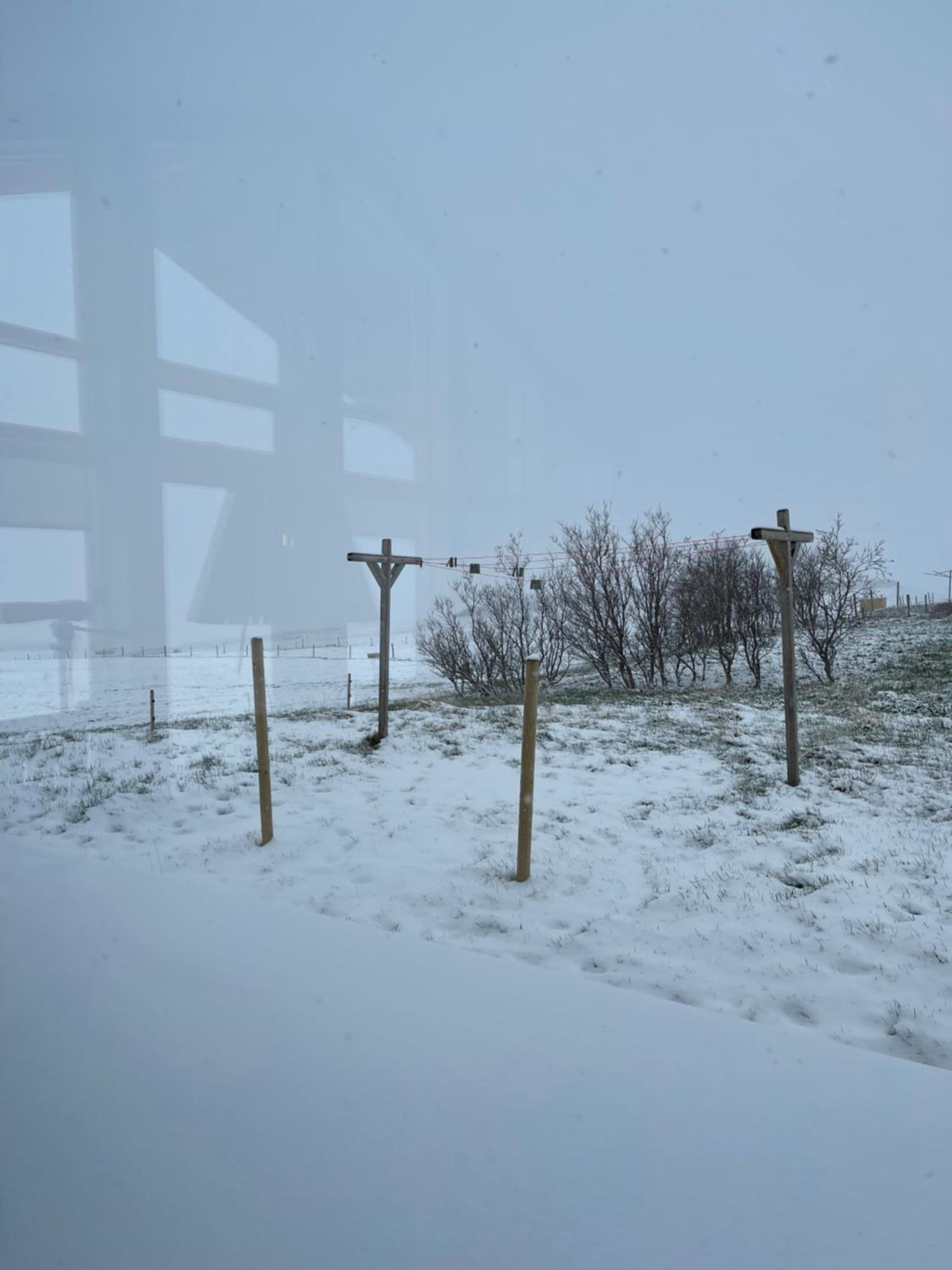 Miðsitja Horsefarm