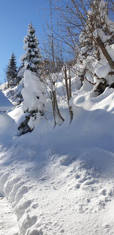 Chalet le Grenier des Crosets, Vue exceptionnelle sur les Dents du Midi