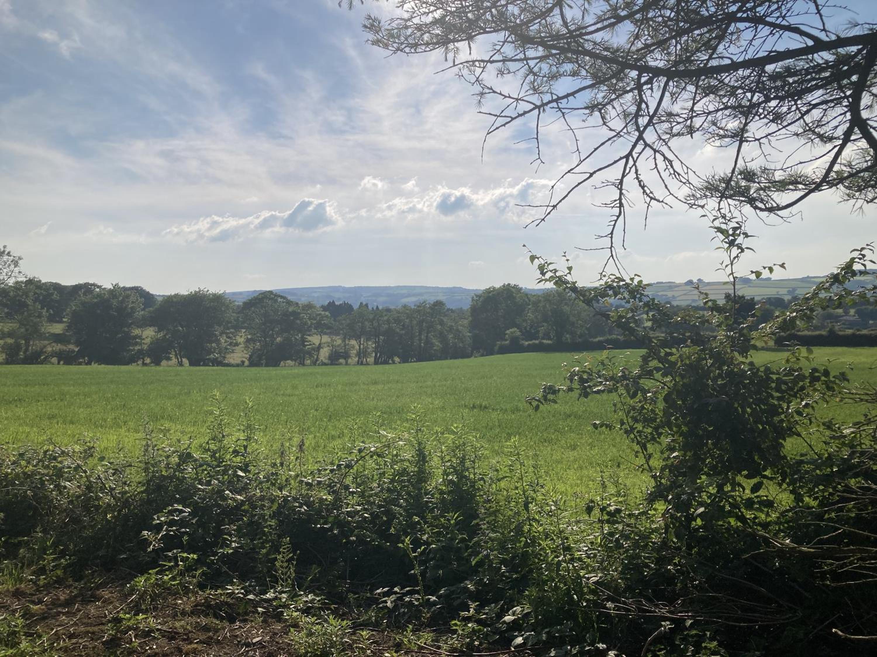 Blaengwen Bach