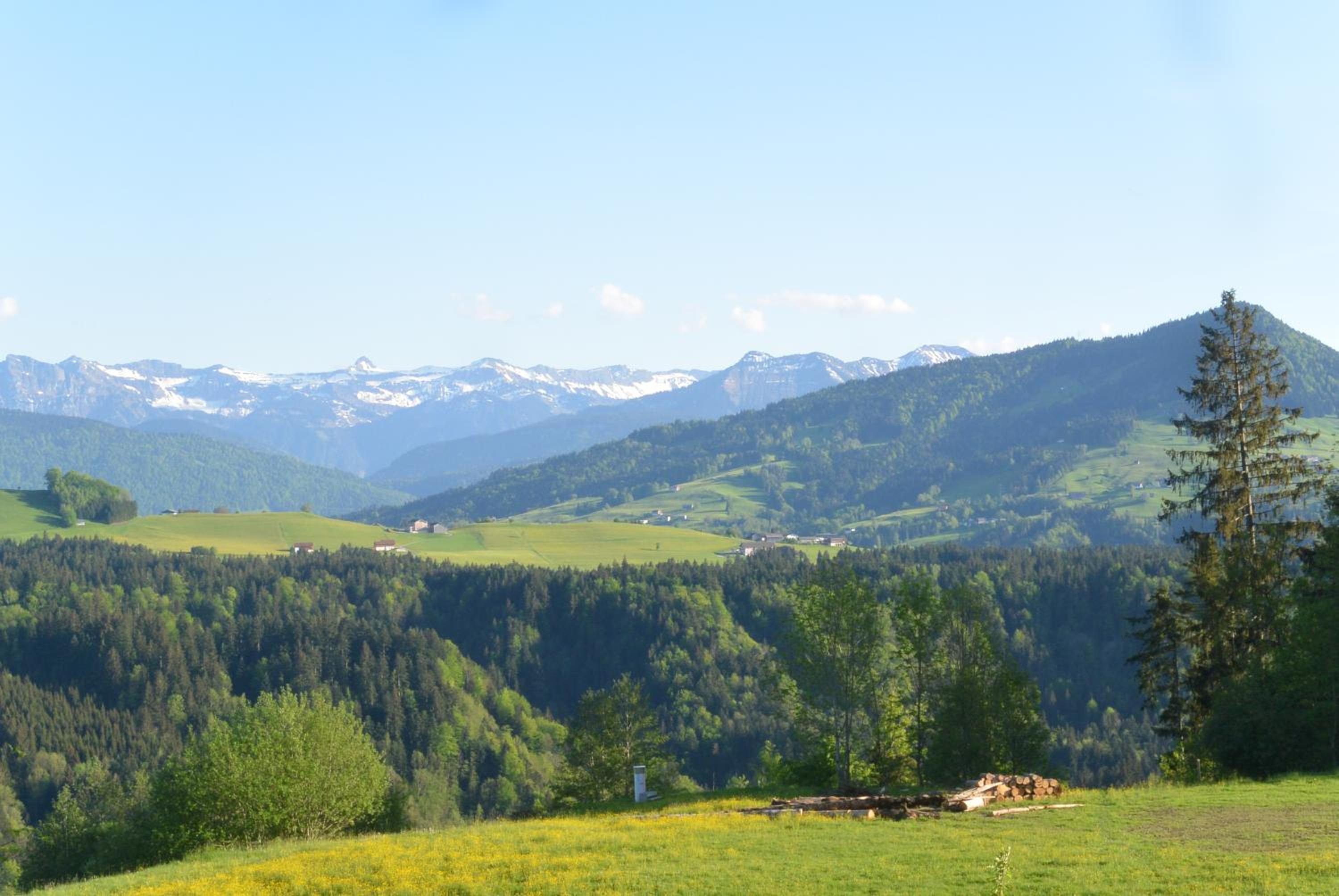 Gasthof Adler