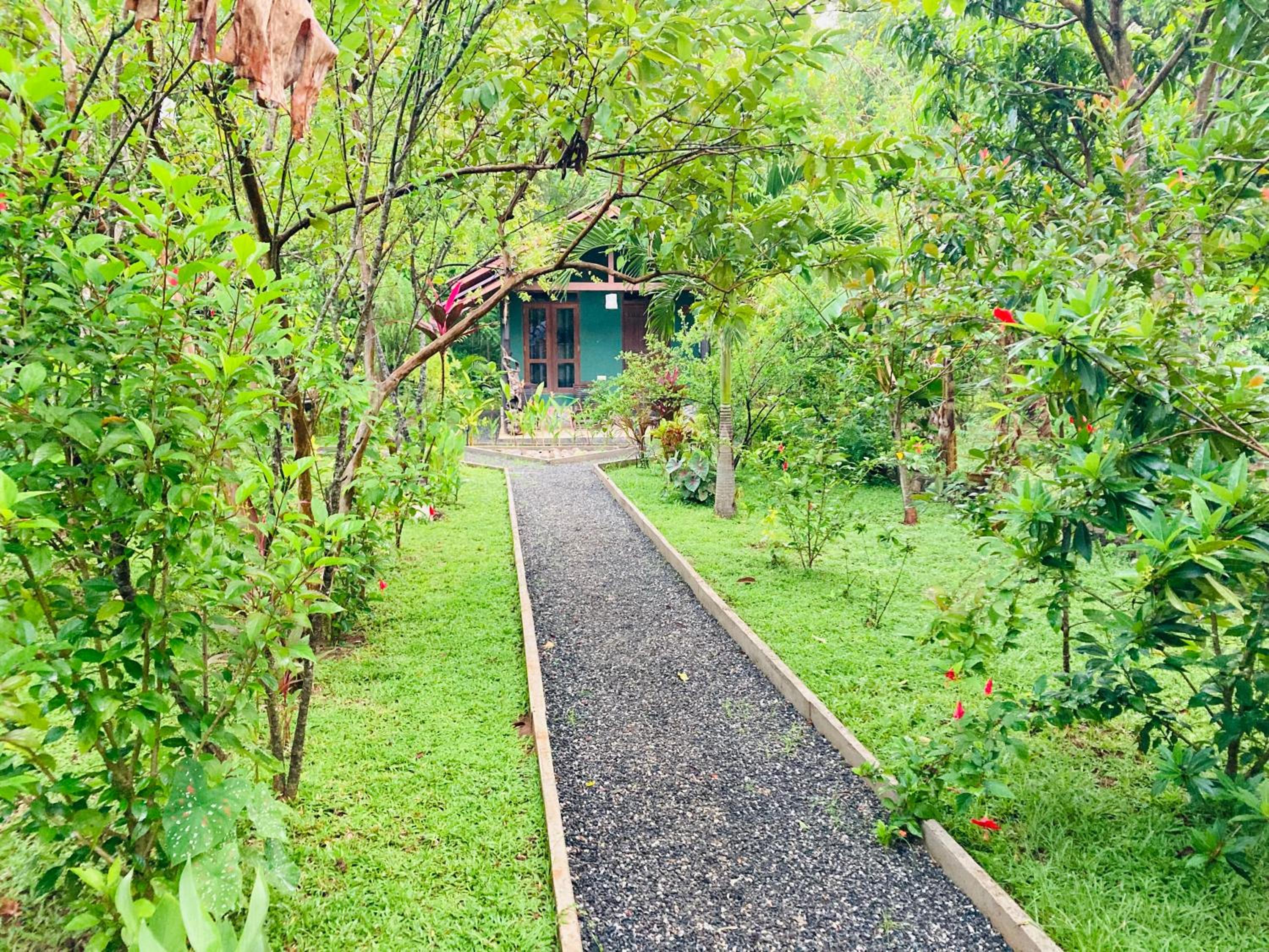 suncity privacy cottages view 3