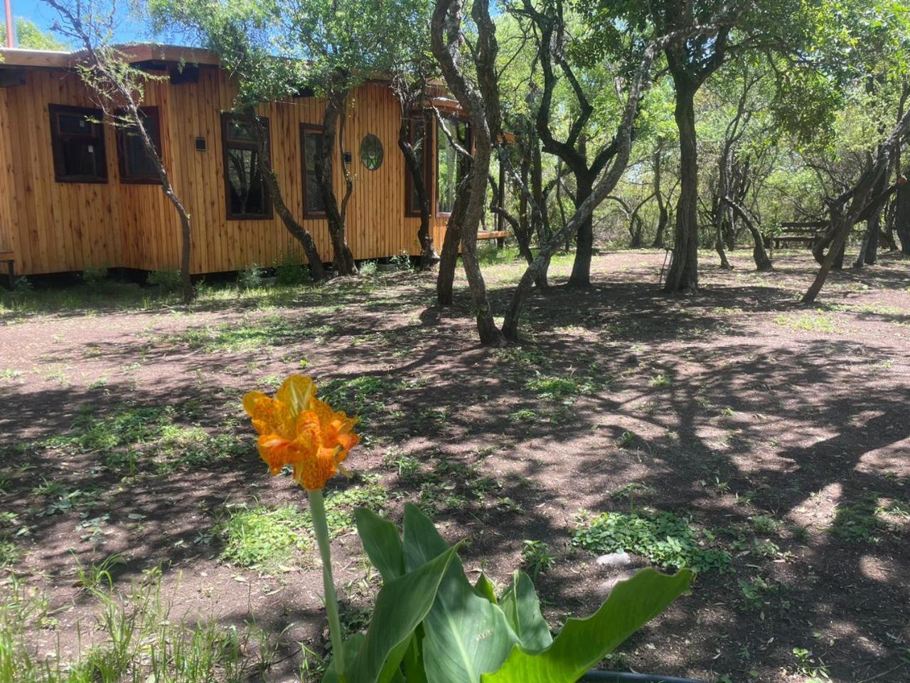 Ser Monte Cabañas Boutique