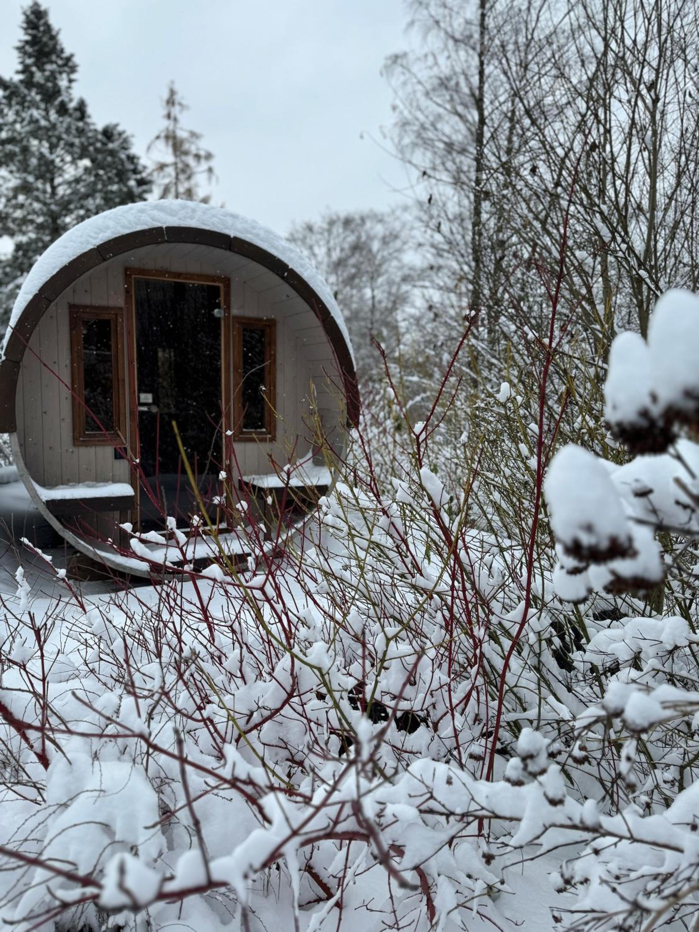 Bergtraum Braunlage im Harz, 17 Gäste, Sauna