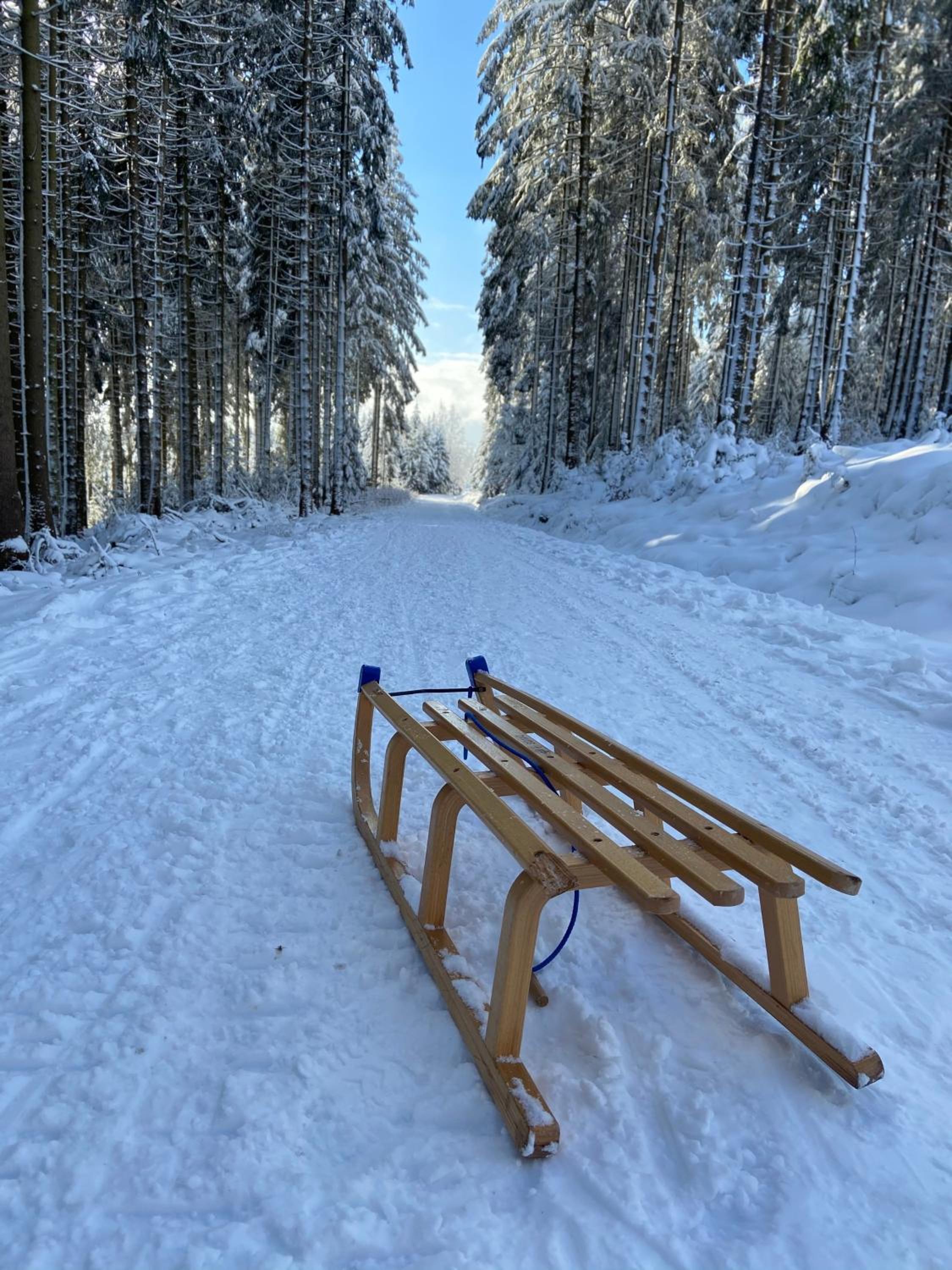 Bergtraum Braunlage im Harz, 17 Gäste, Sauna