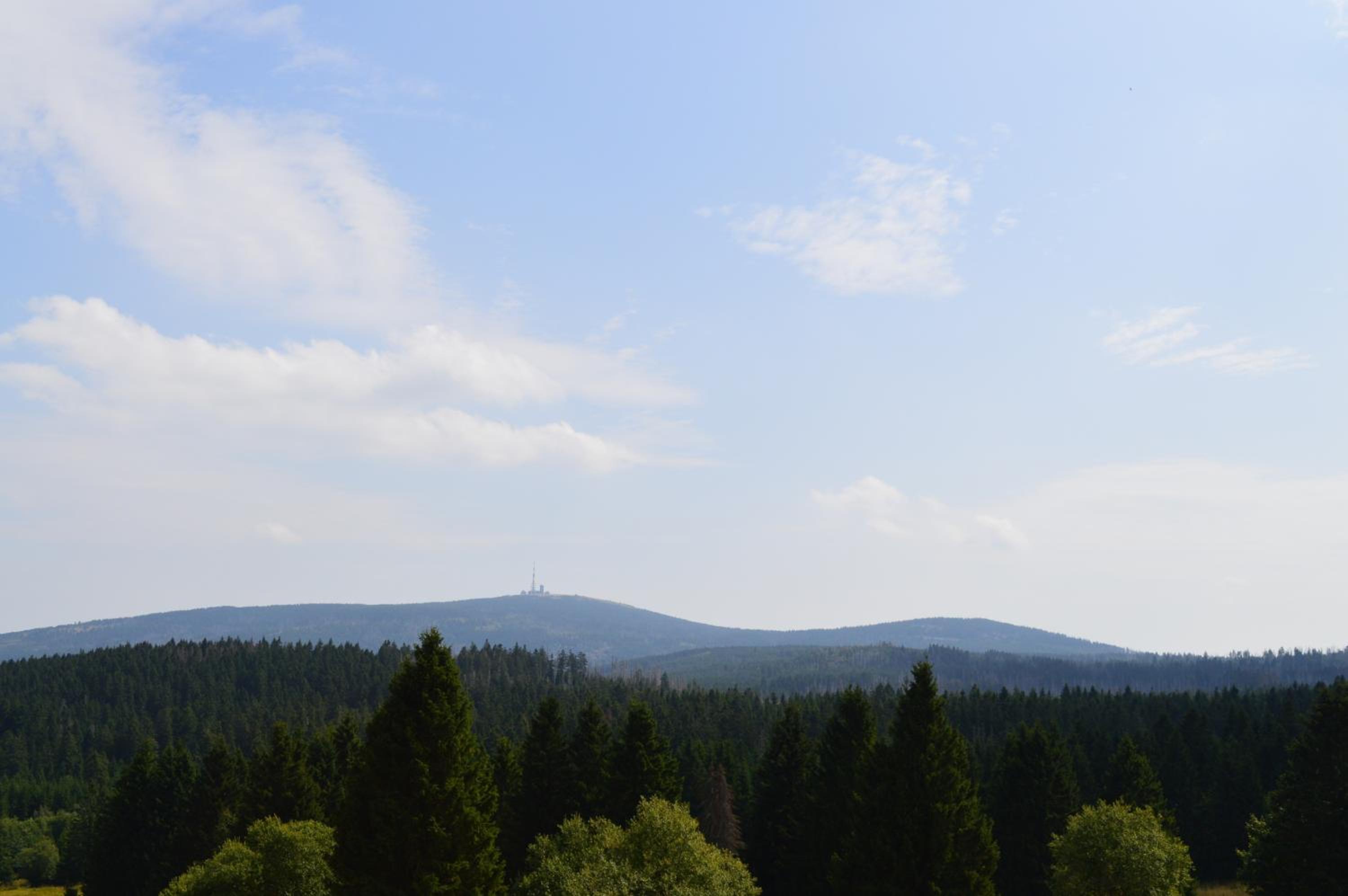 Bergtraum Braunlage im Harz, 17 Gäste, Sauna