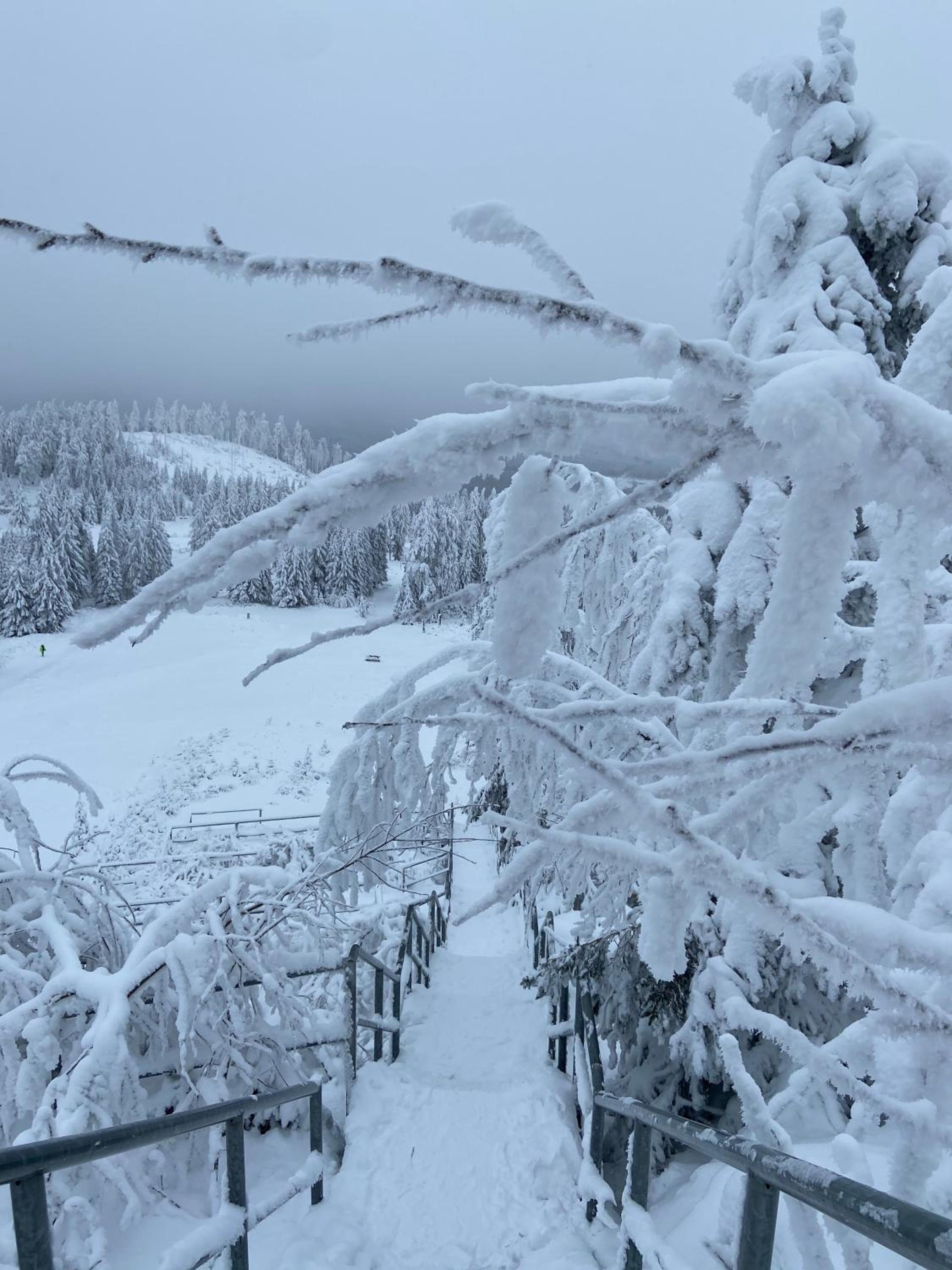 Bergtraum Braunlage im Harz, 17 Gäste, Sauna