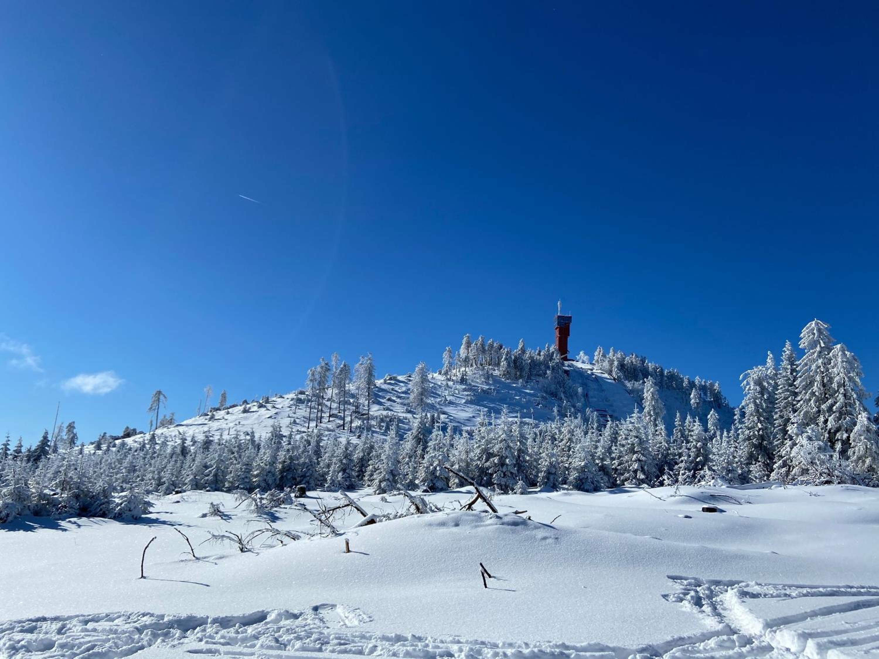 Bergtraum Braunlage im Harz, 17 Gäste, Sauna