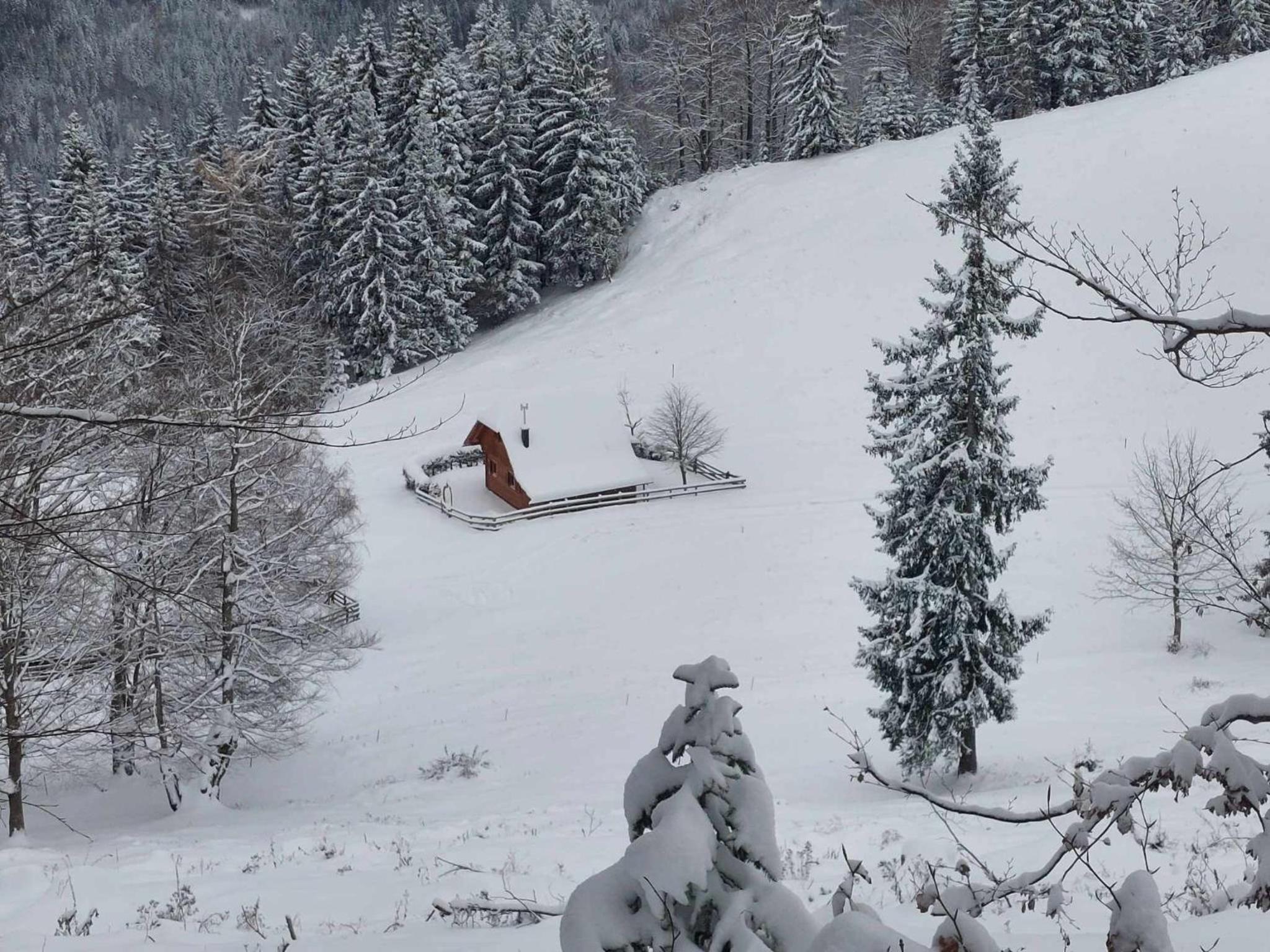 Koča Lipa pod Veliko planino view 4