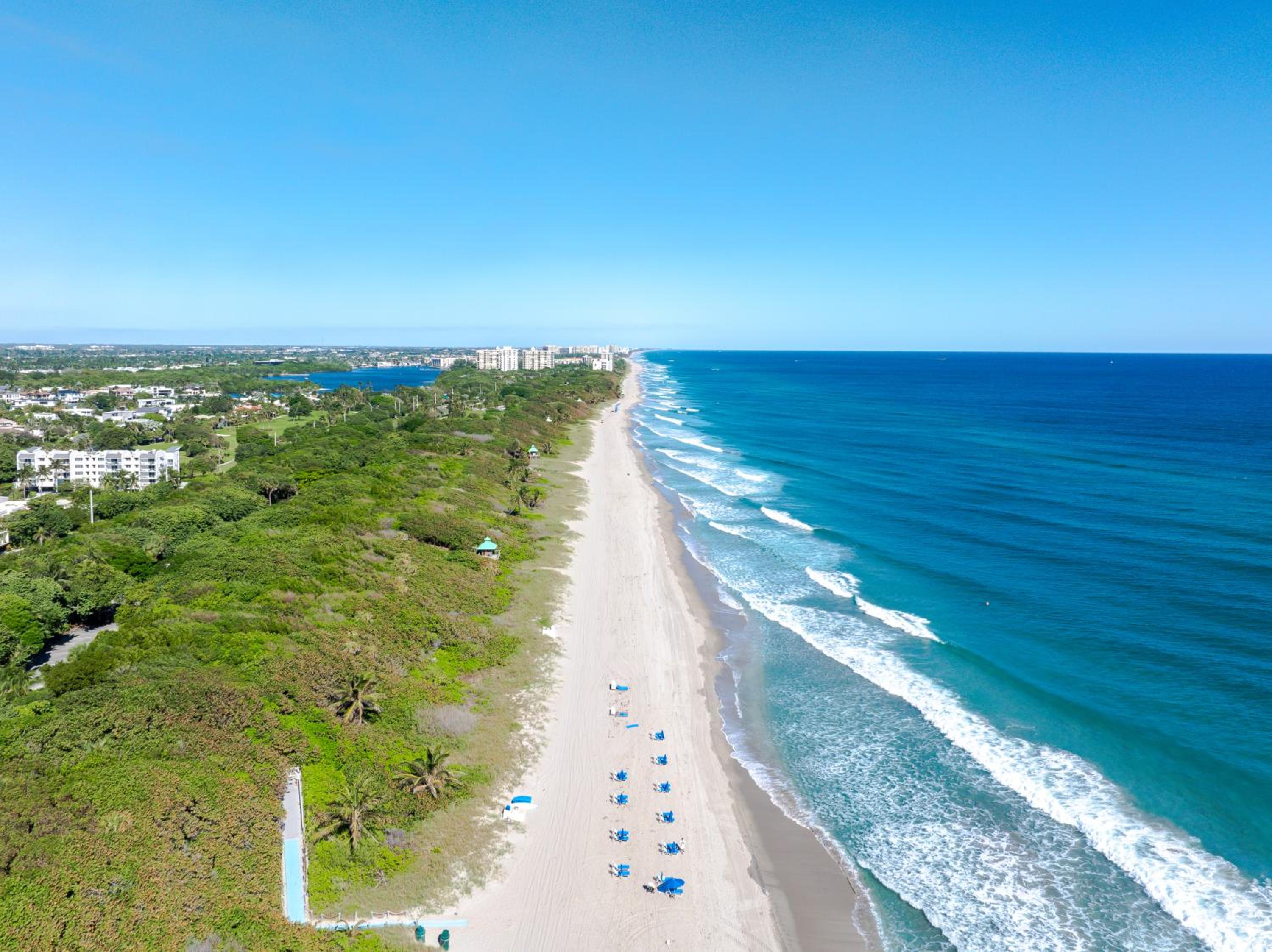 Pool view one-bedroom Ocean 365