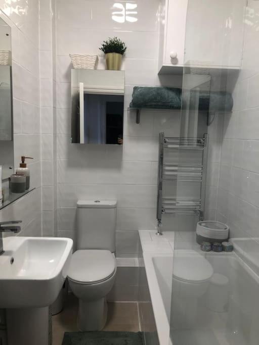 Central London Flat