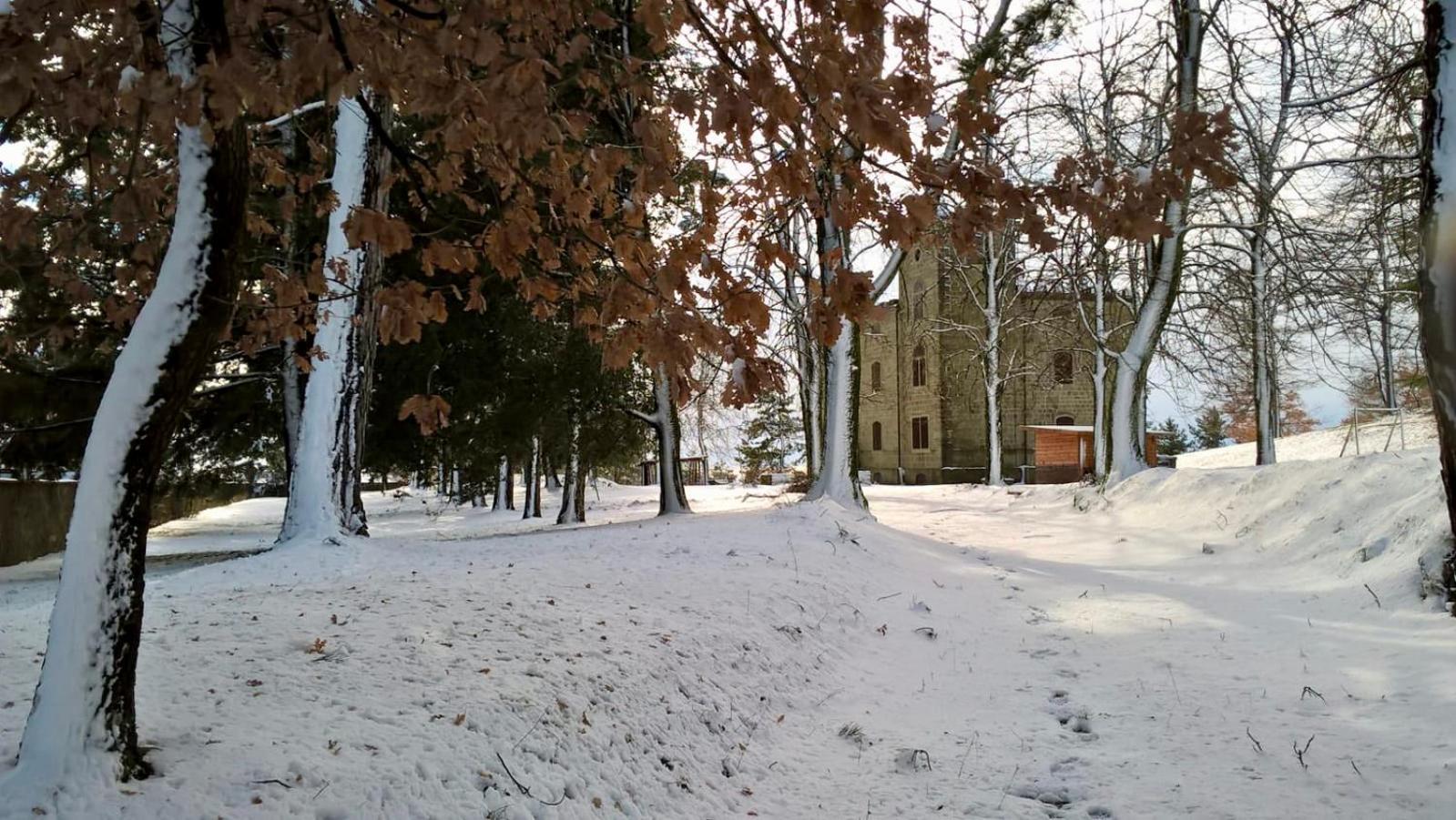 Photo 21