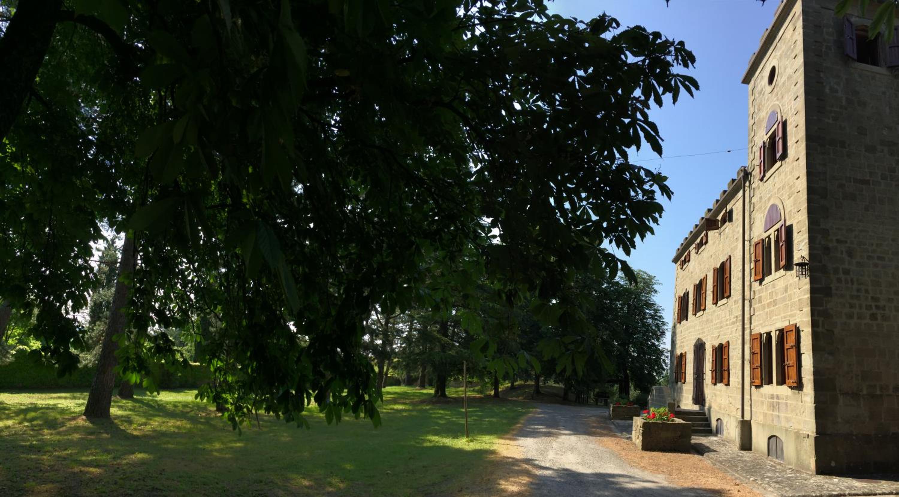 Photo 45