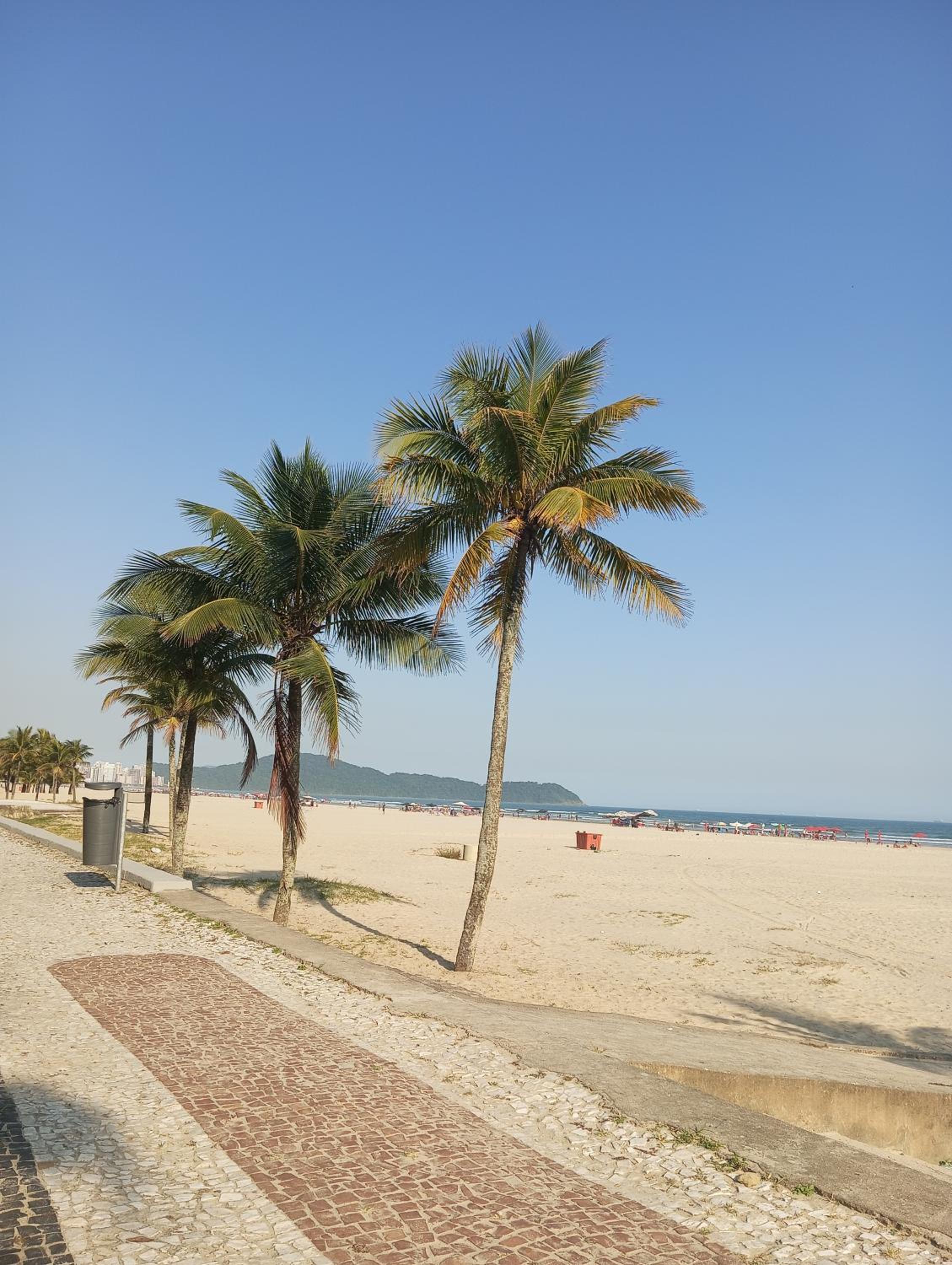 Bitenca pé na areia