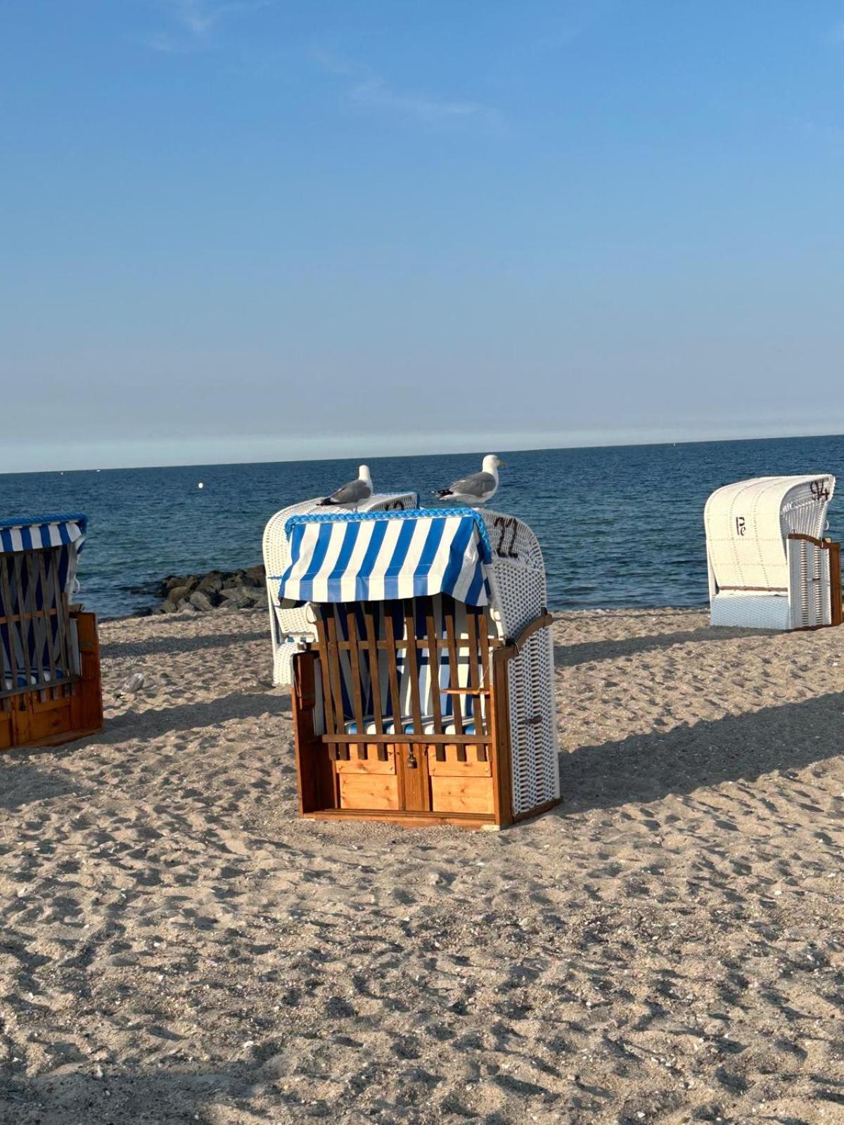 Toplage direkt an der Steilküste - FeWo 1 