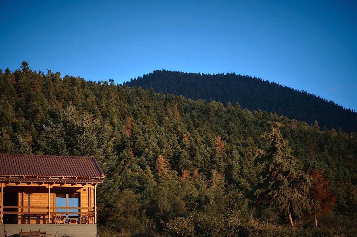 The Farmhouse