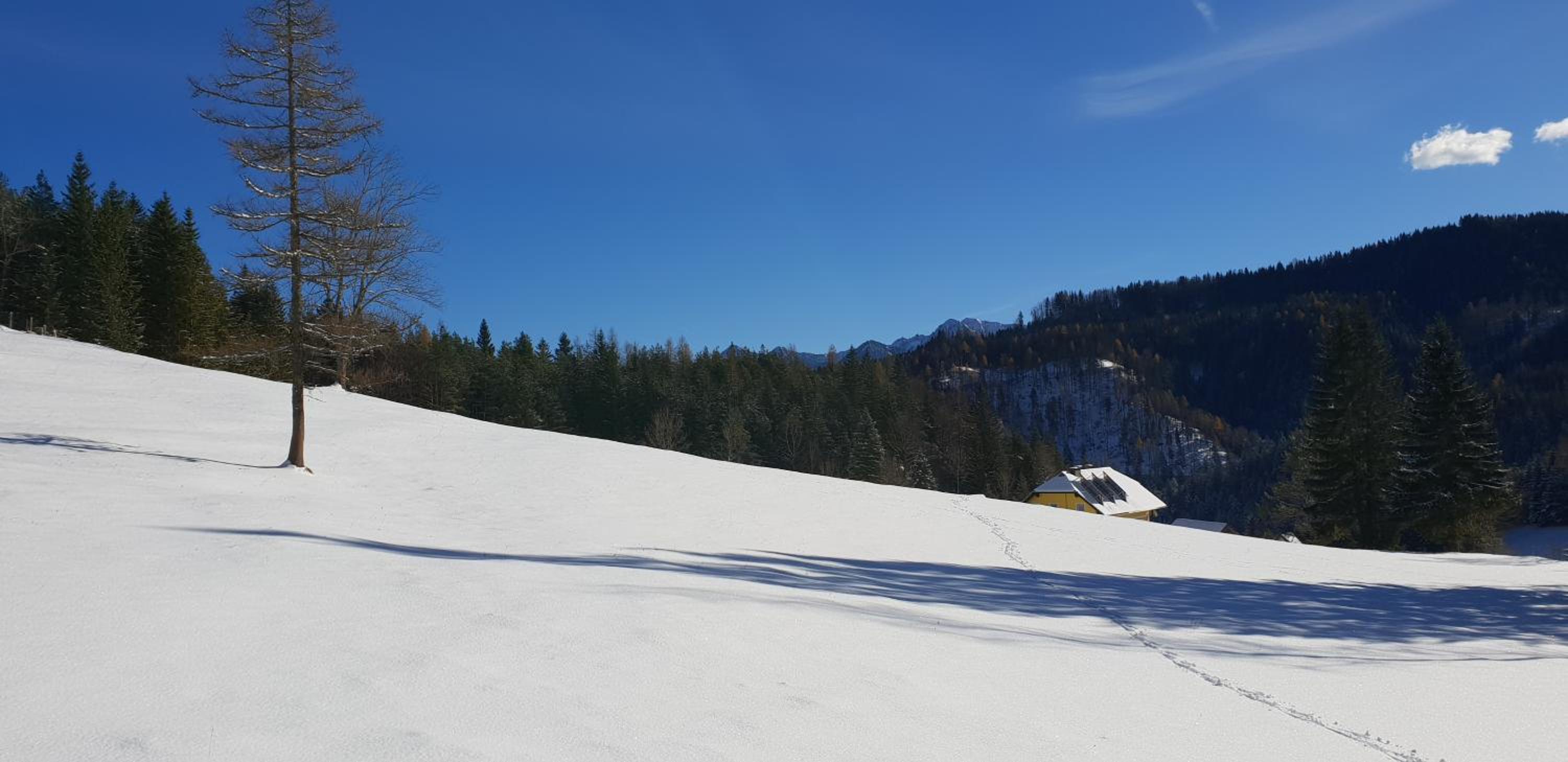 Bauernchalet Orainza