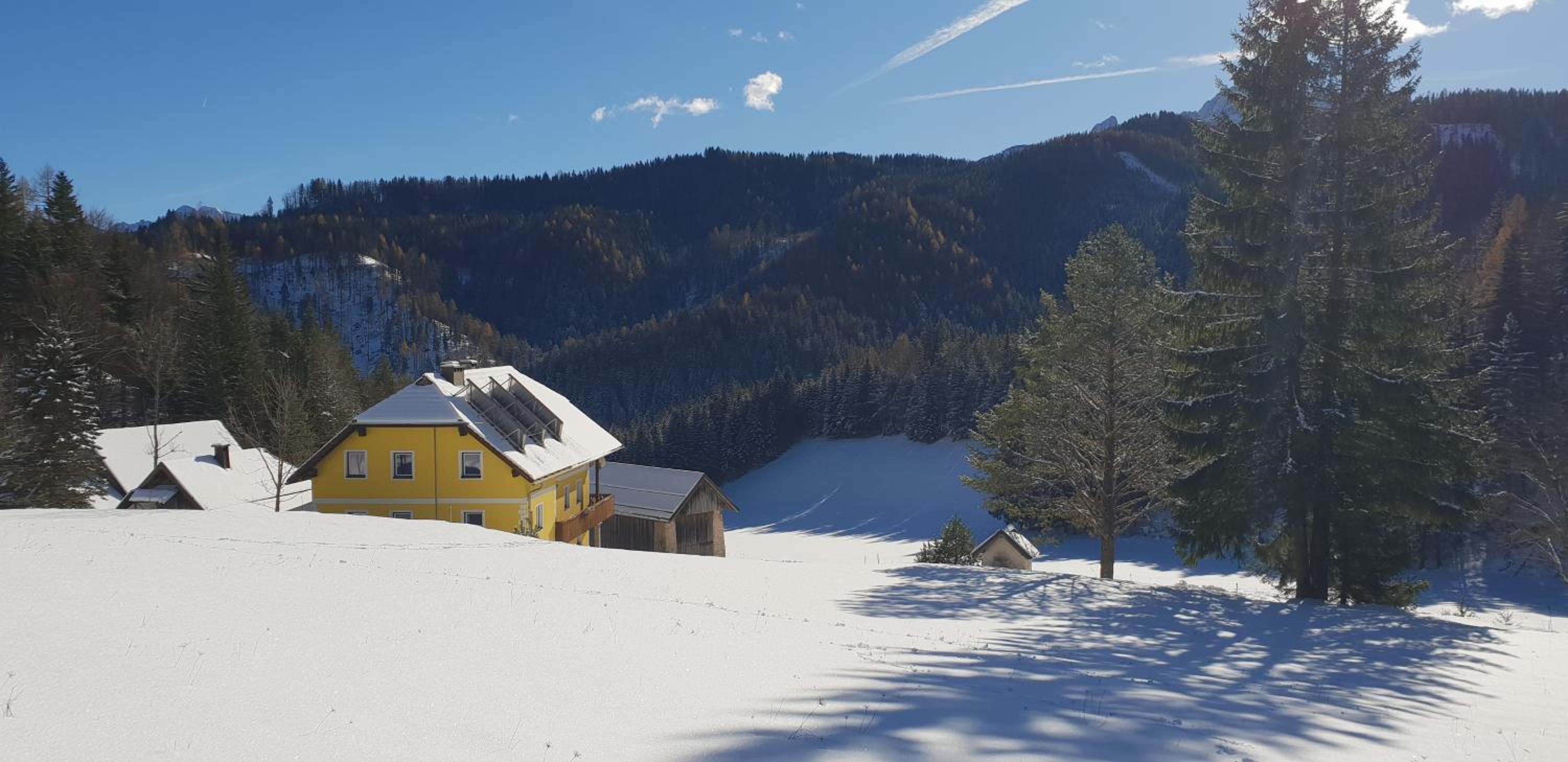 Bauernchalet Orainza