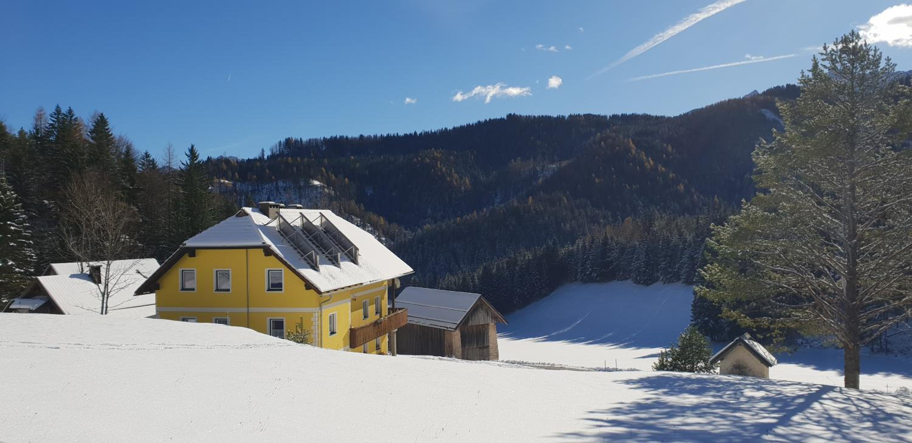 Bauernchalet Orainza