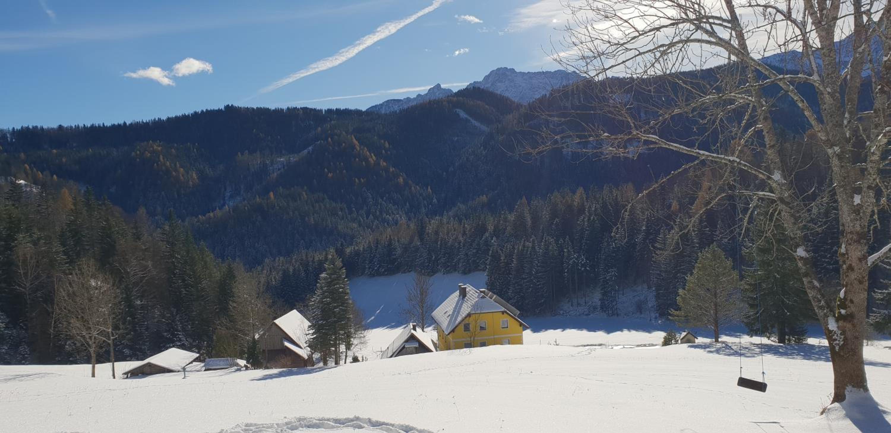 Bauernchalet Orainza