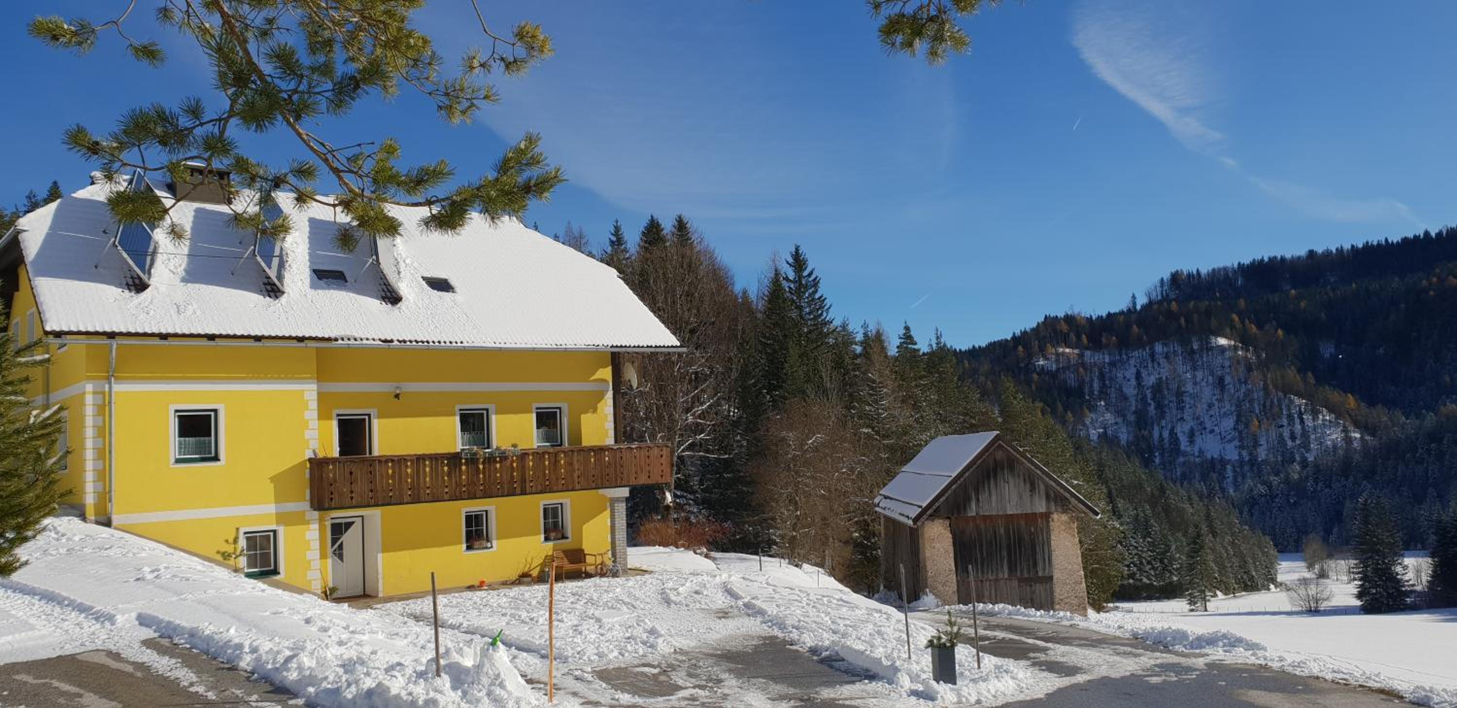 Bauernchalet Orainza